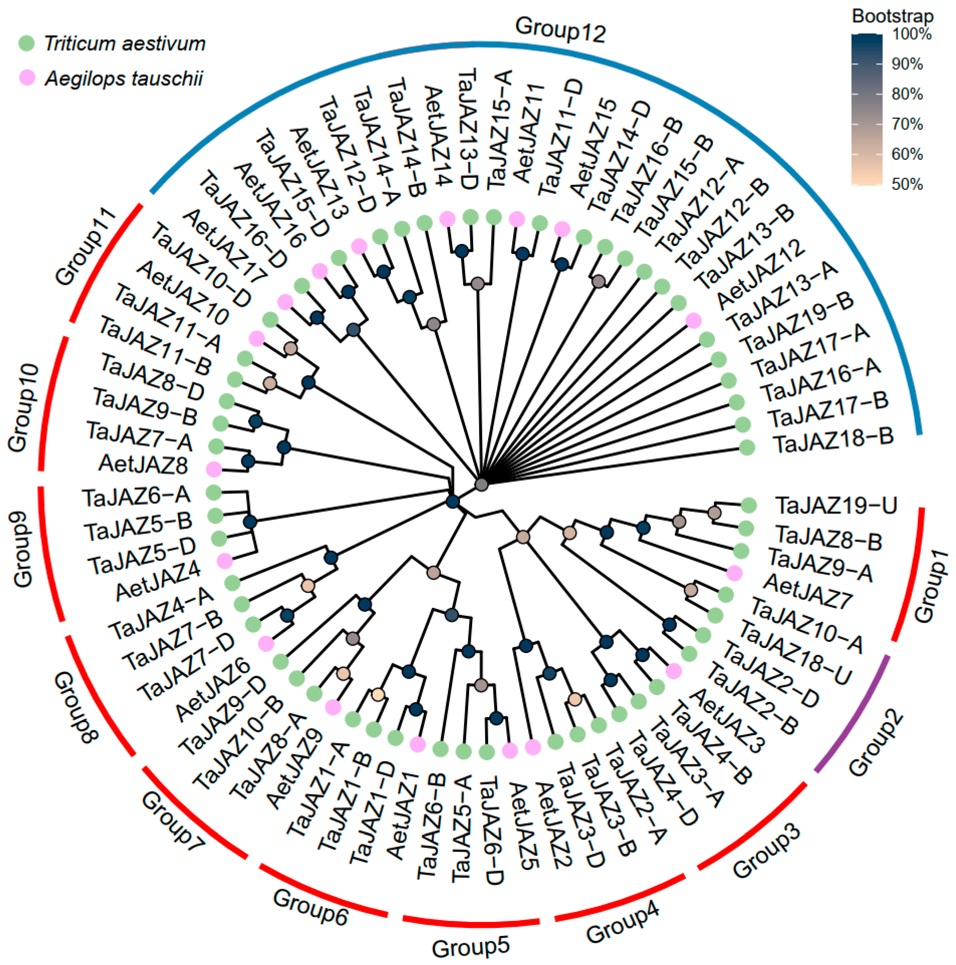 Plants 13 01259 g005