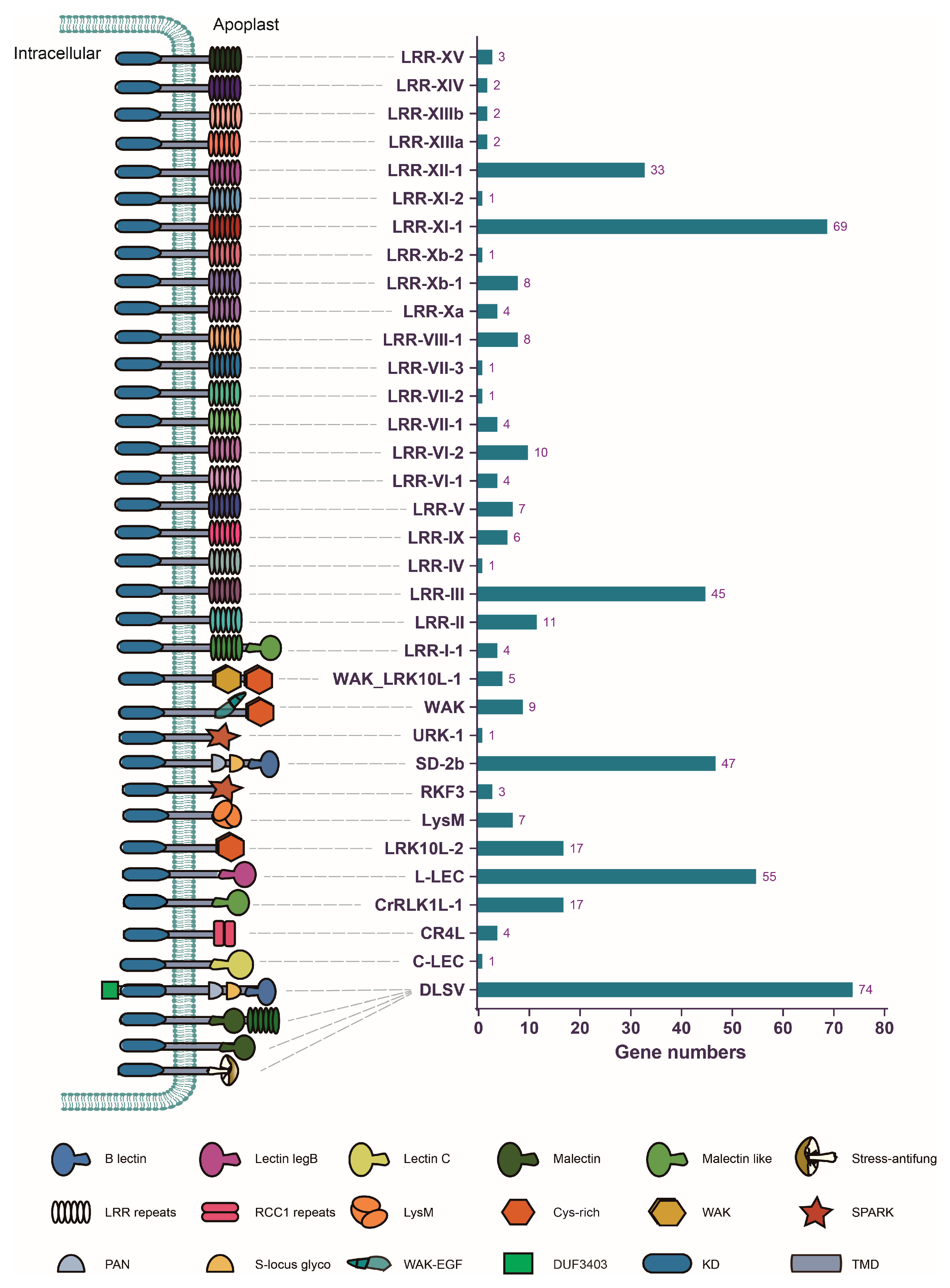 Plants 13 01274 g001