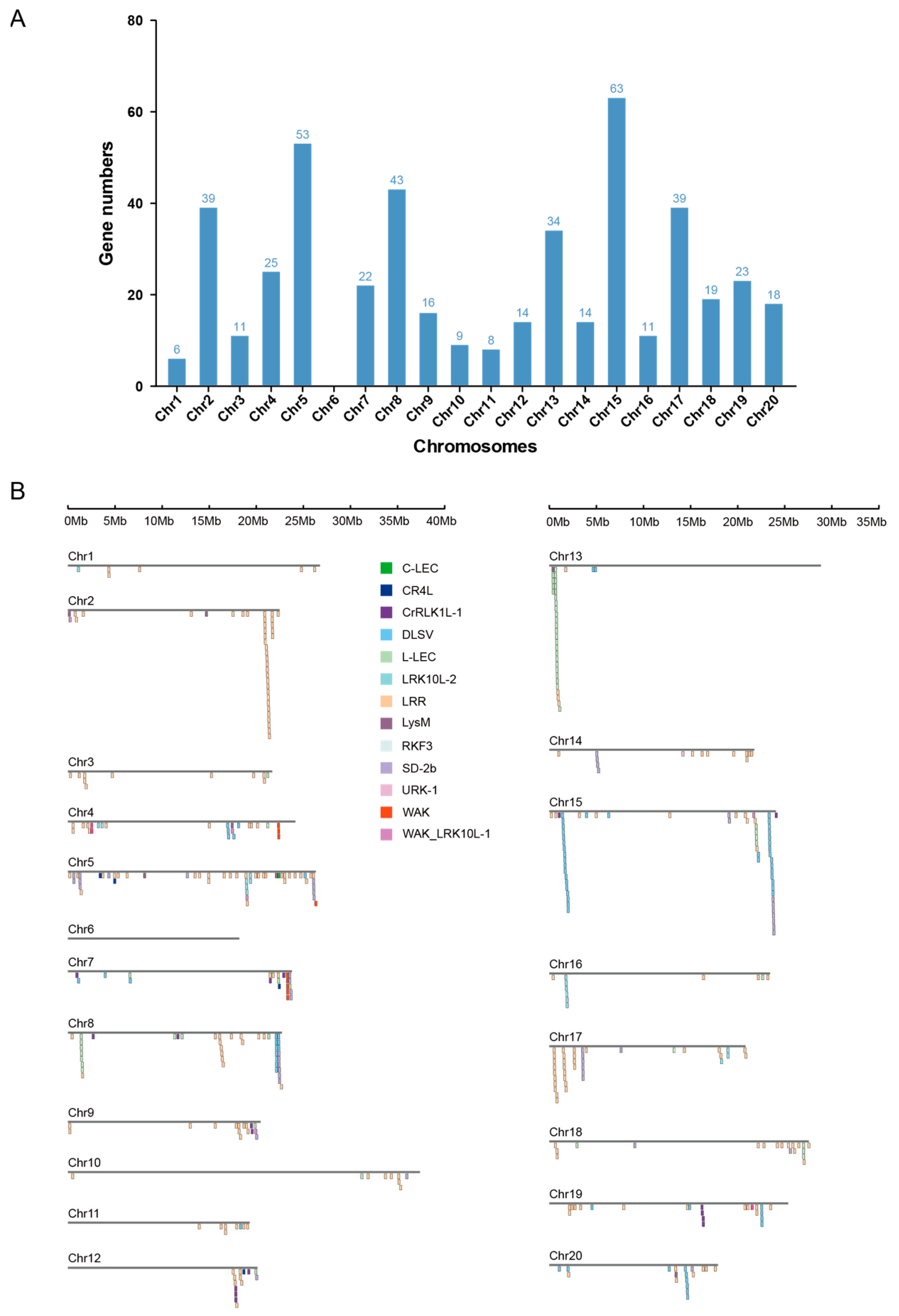 Plants 13 01274 g002
