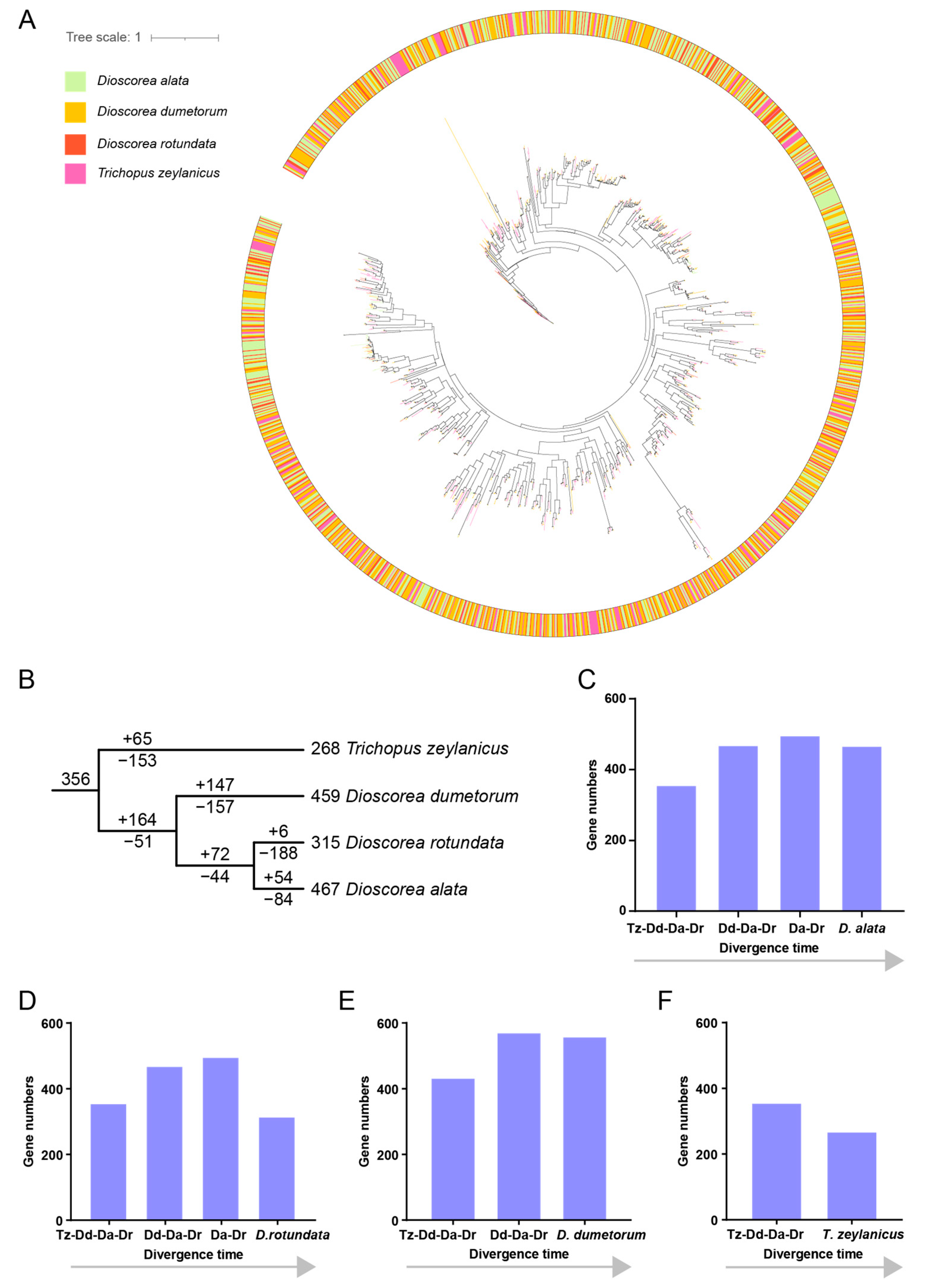 Plants 13 01274 g004