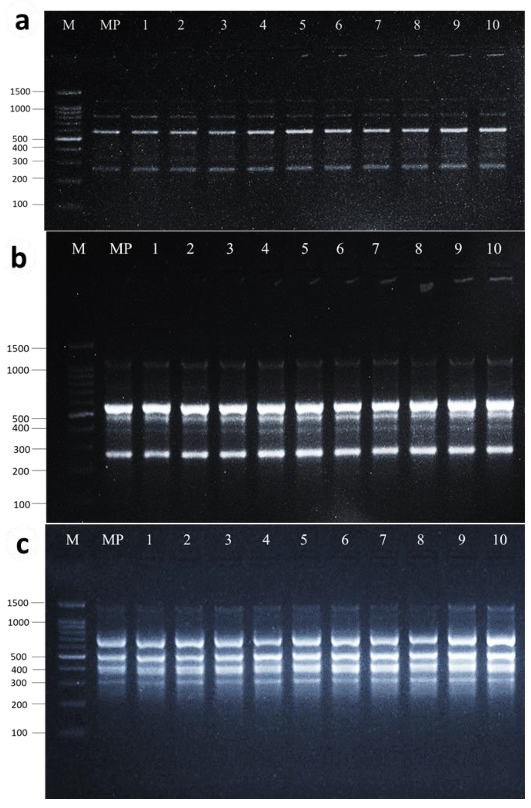 Plants 13 01278 g004