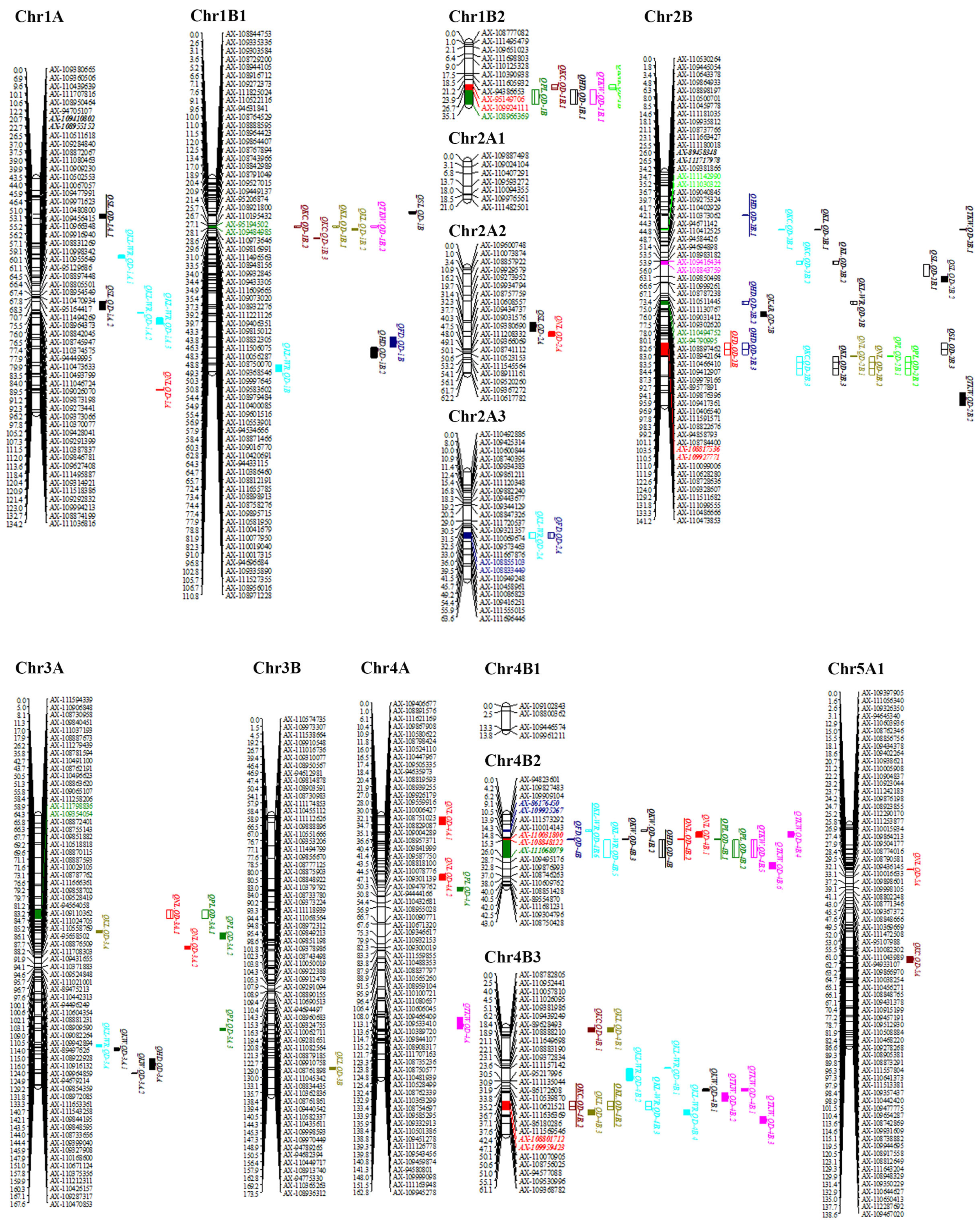 Plants 13 01285 g003a