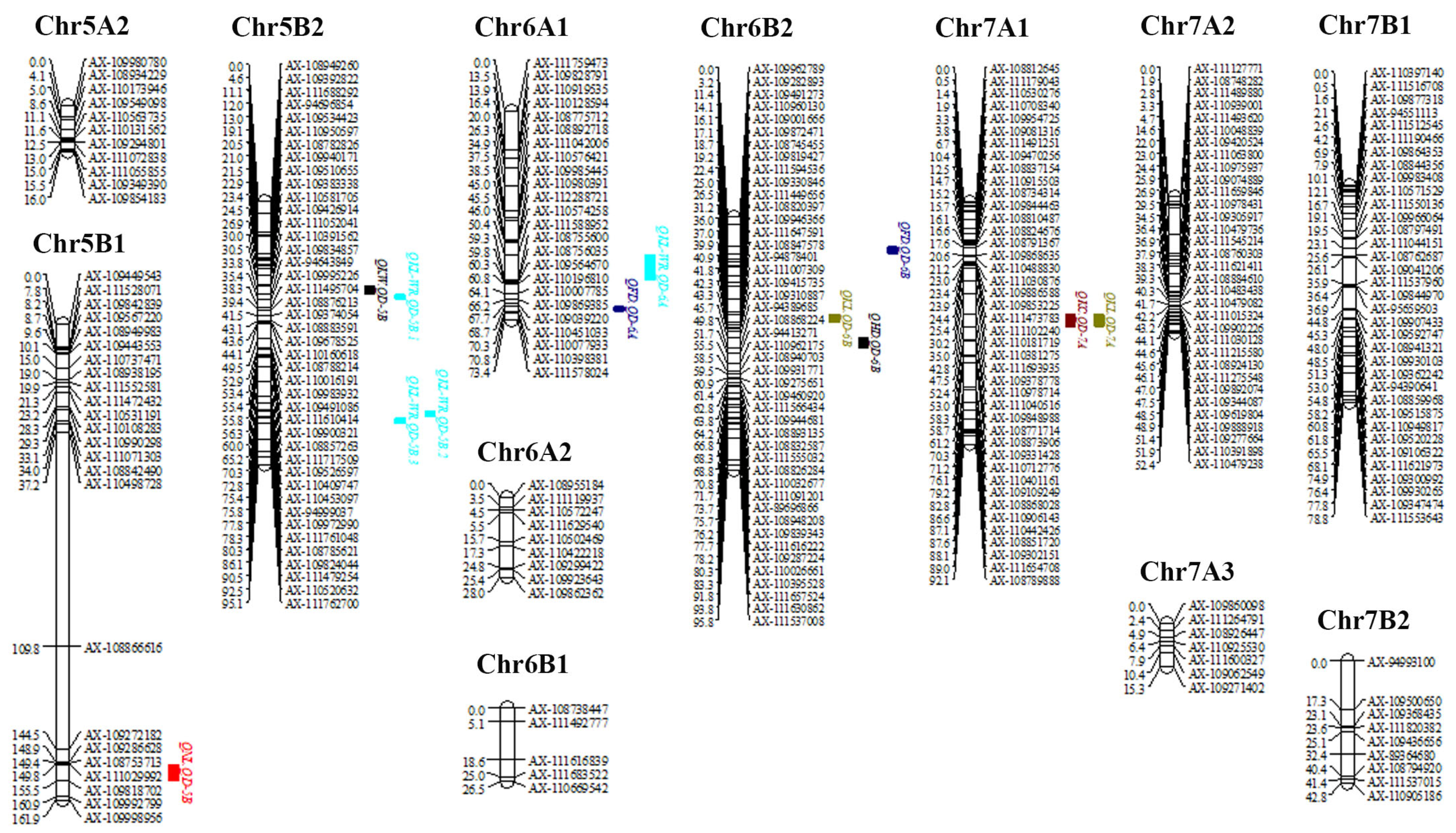 Plants 13 01285 g003b