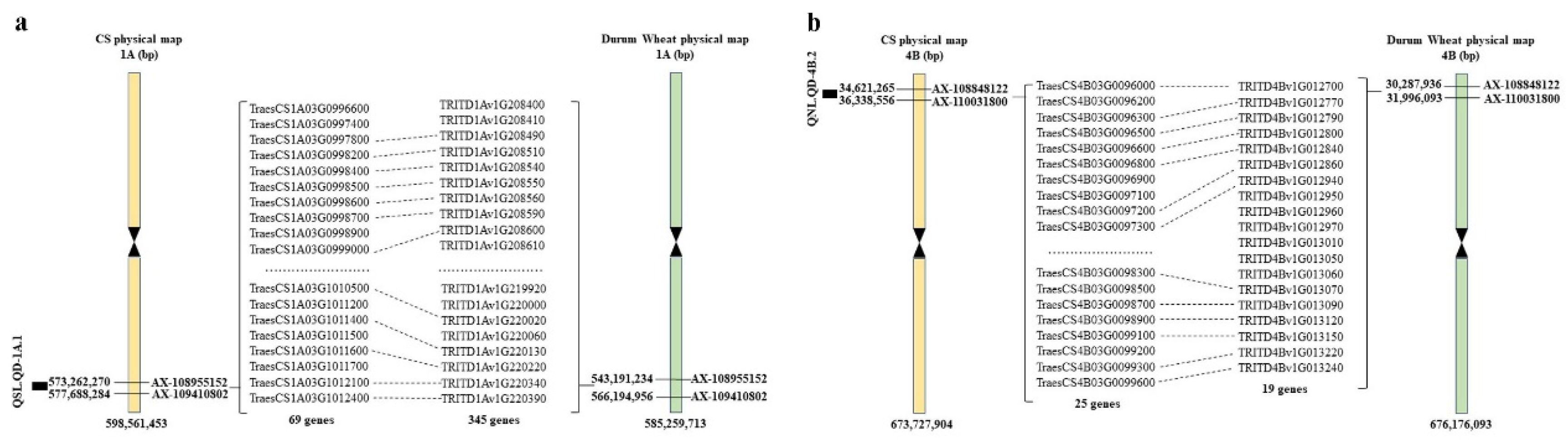 Plants 13 01285 g005