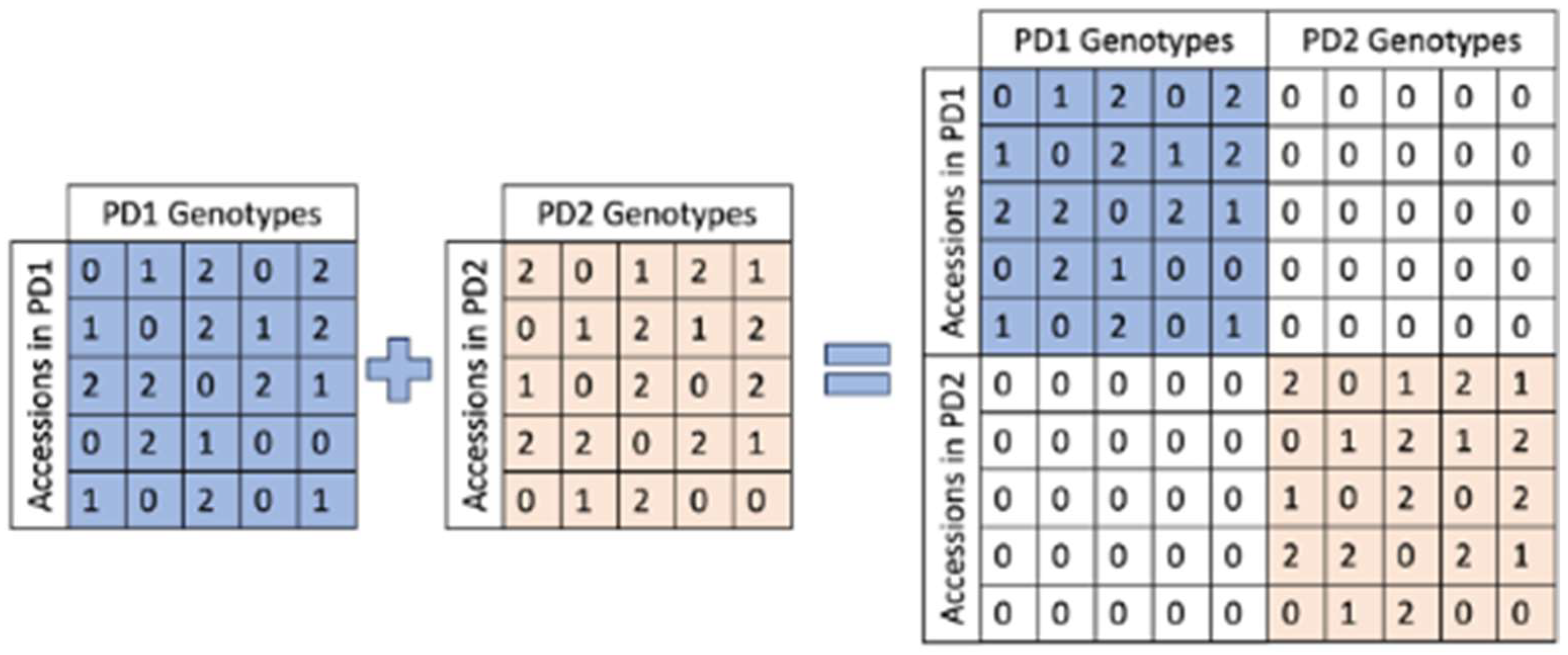 Plants 13 01297 g008