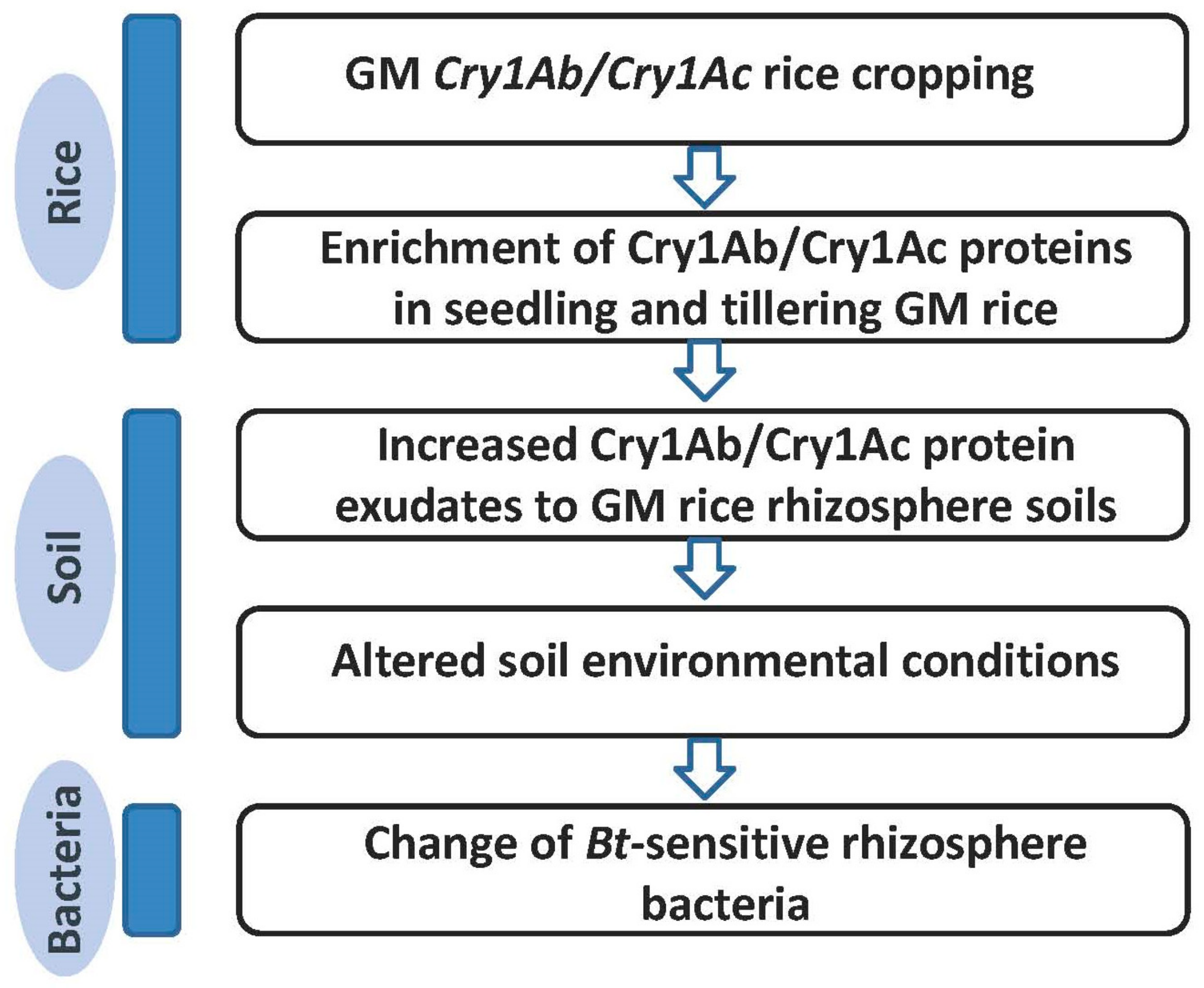 Plants 13 01300 g008
