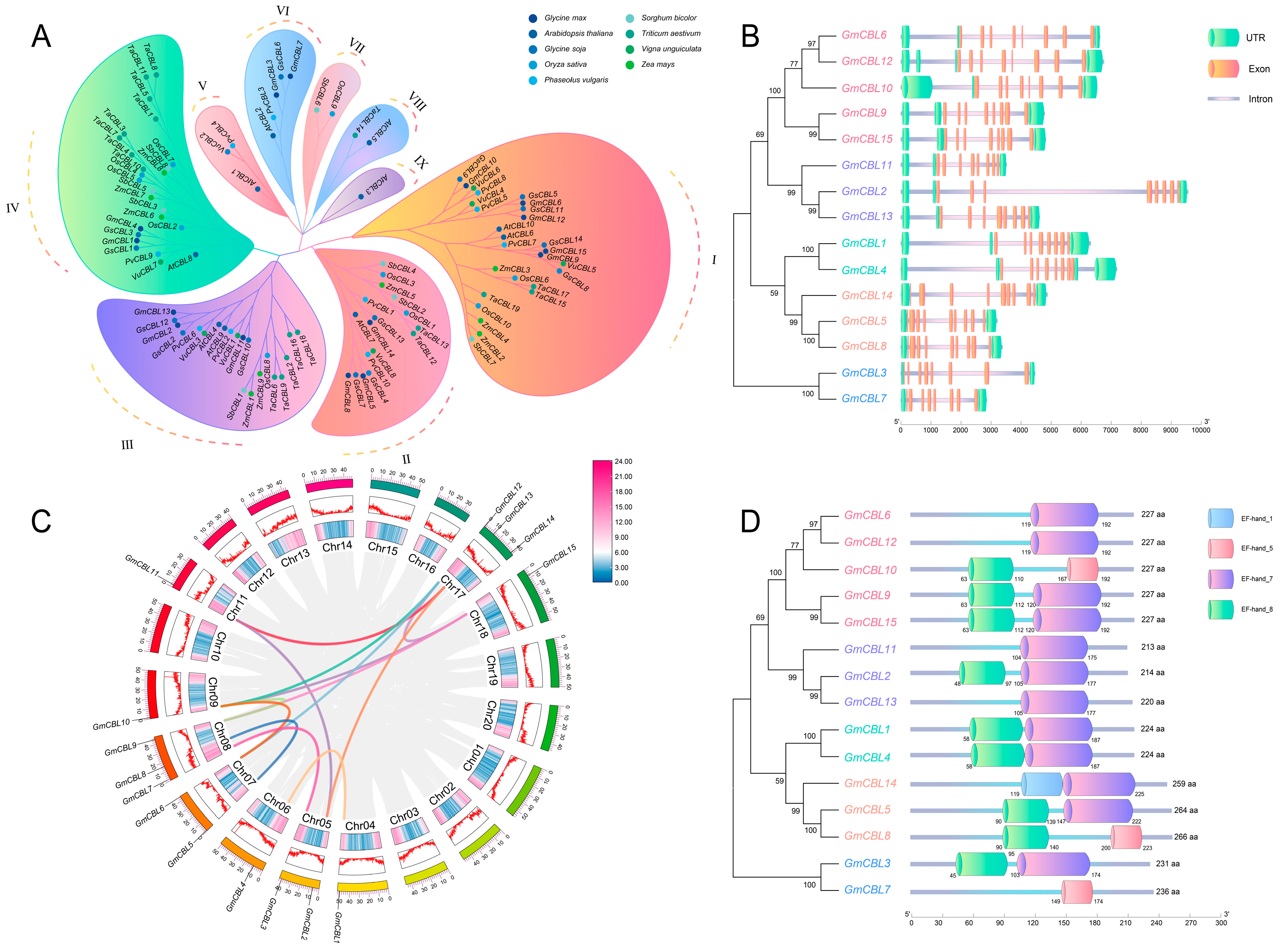 Plants 13 01304 g001