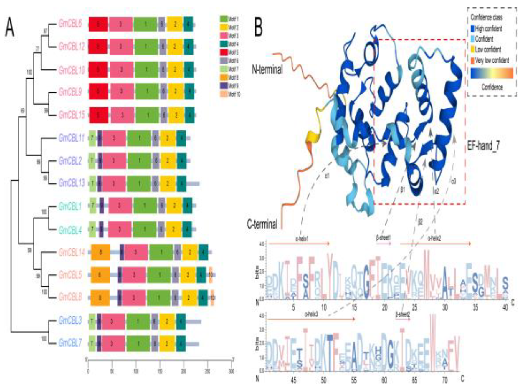 Plants 13 01304 g002