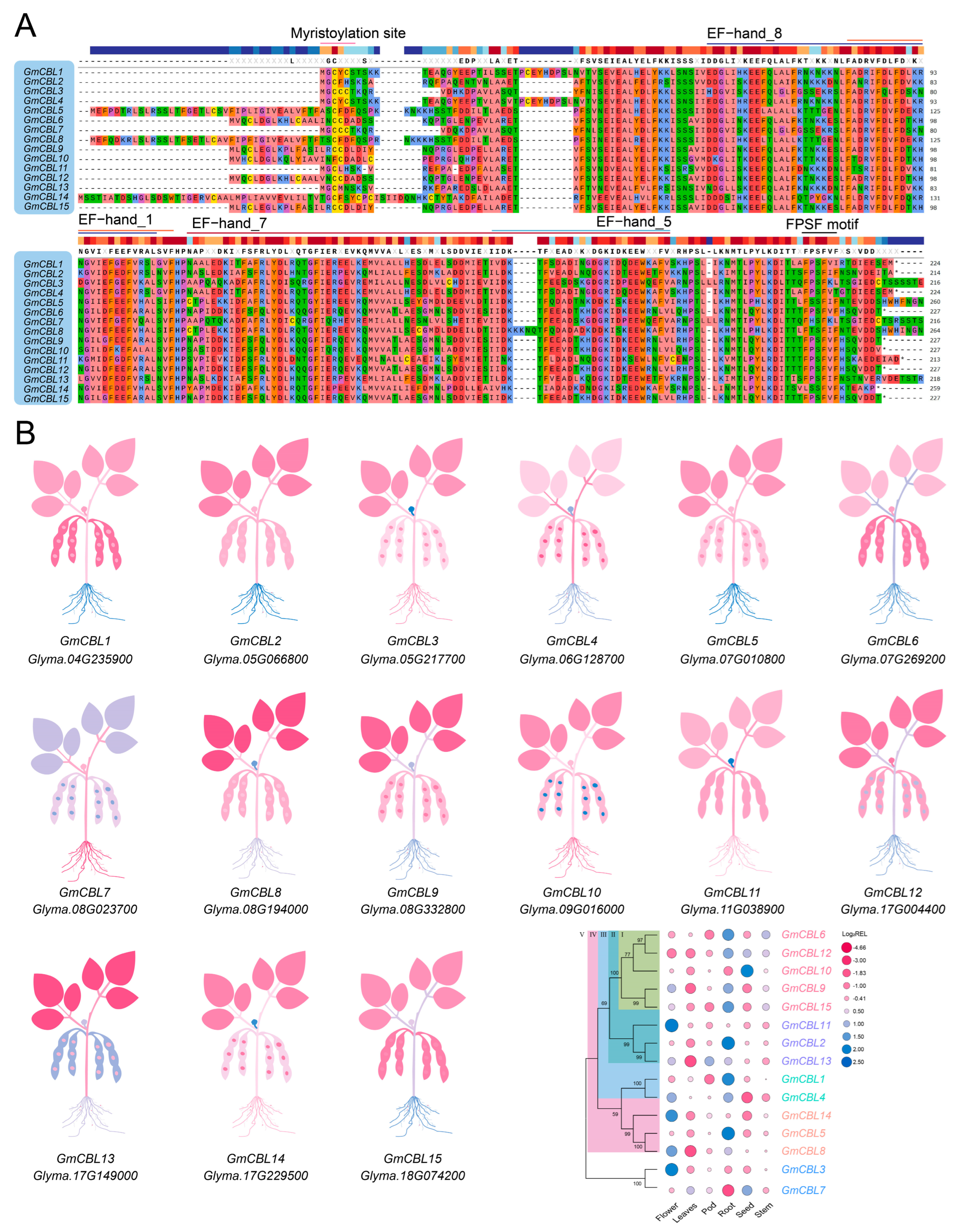 Plants 13 01304 g004