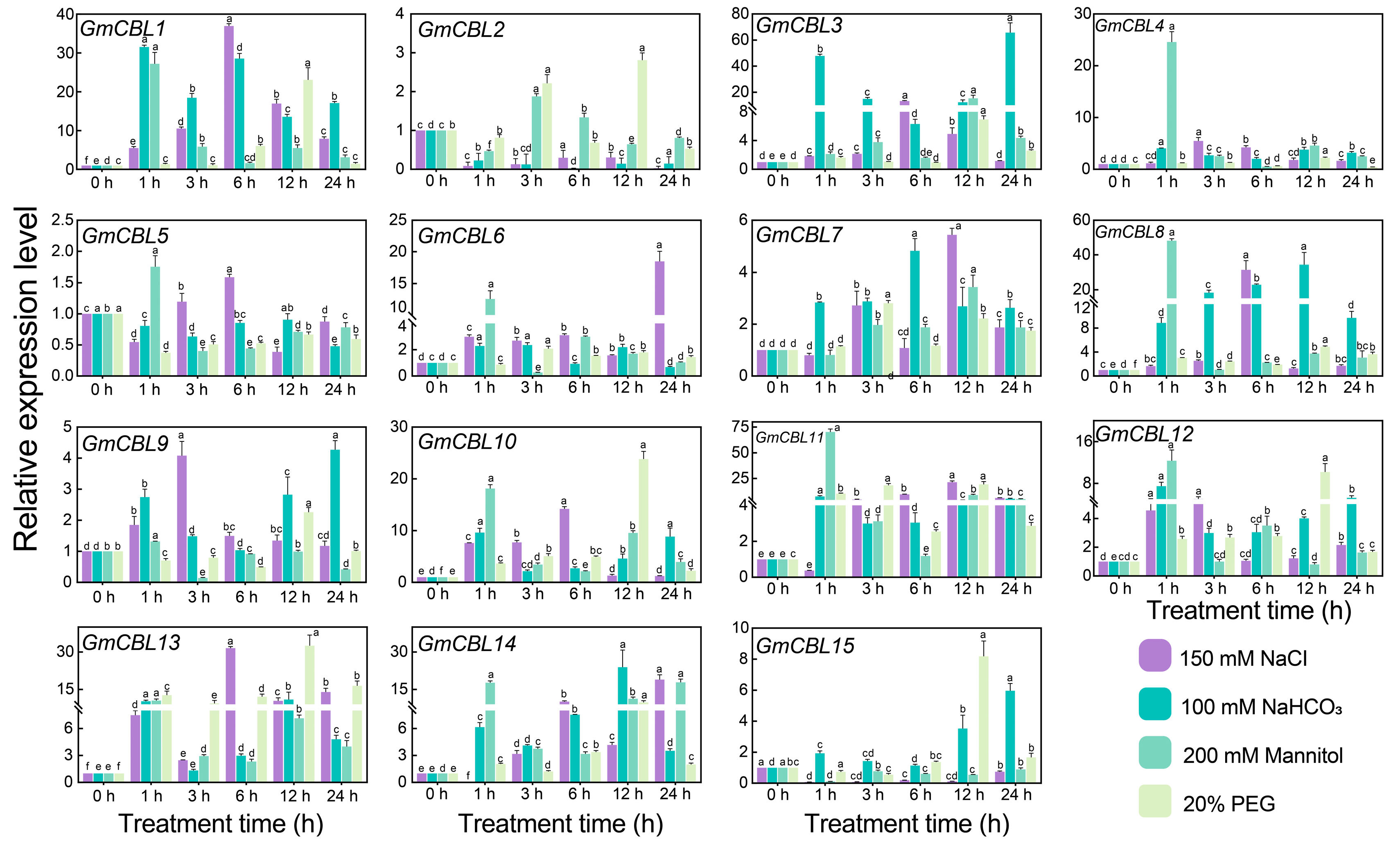 Plants 13 01304 g006