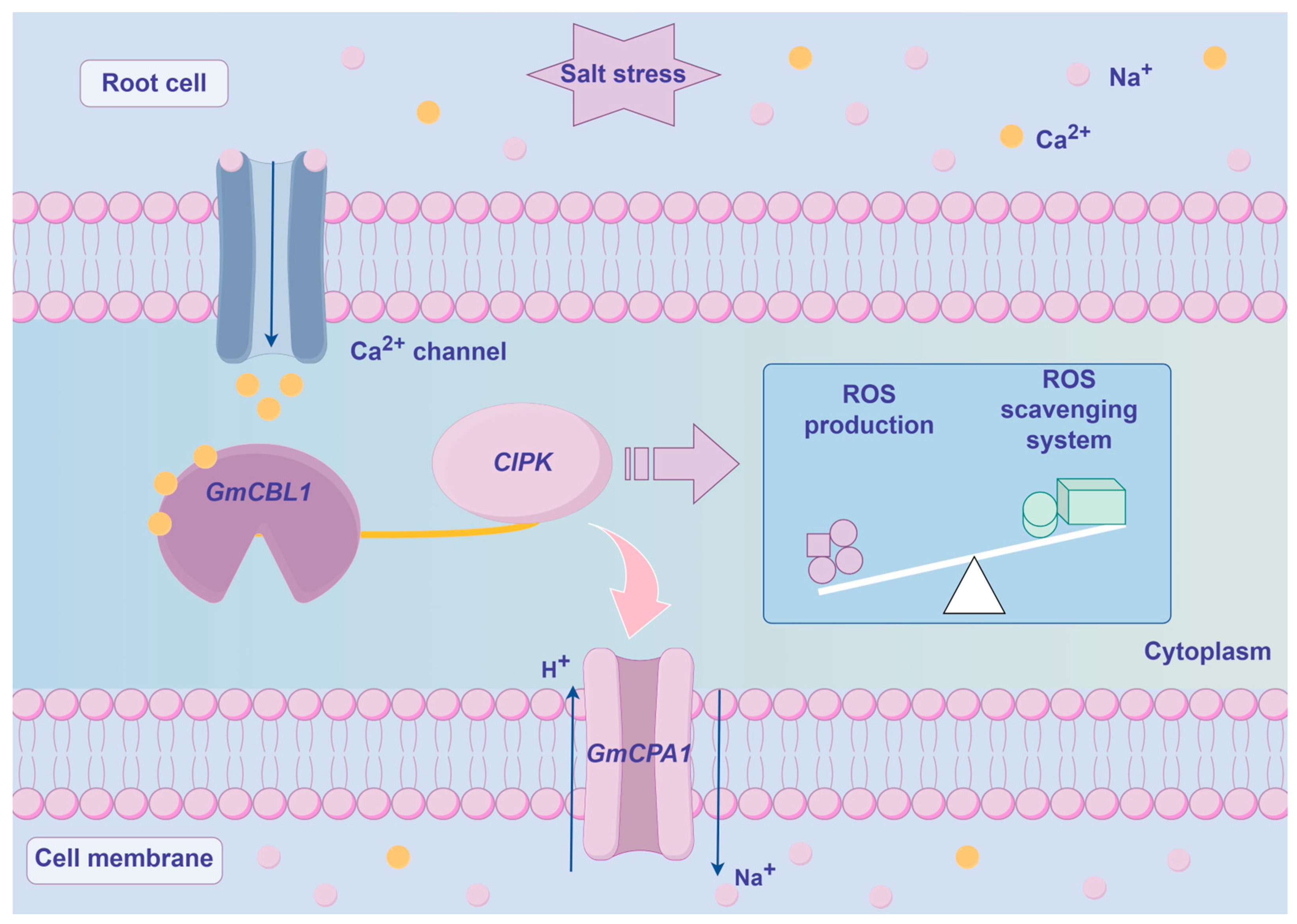 Plants 13 01304 g010