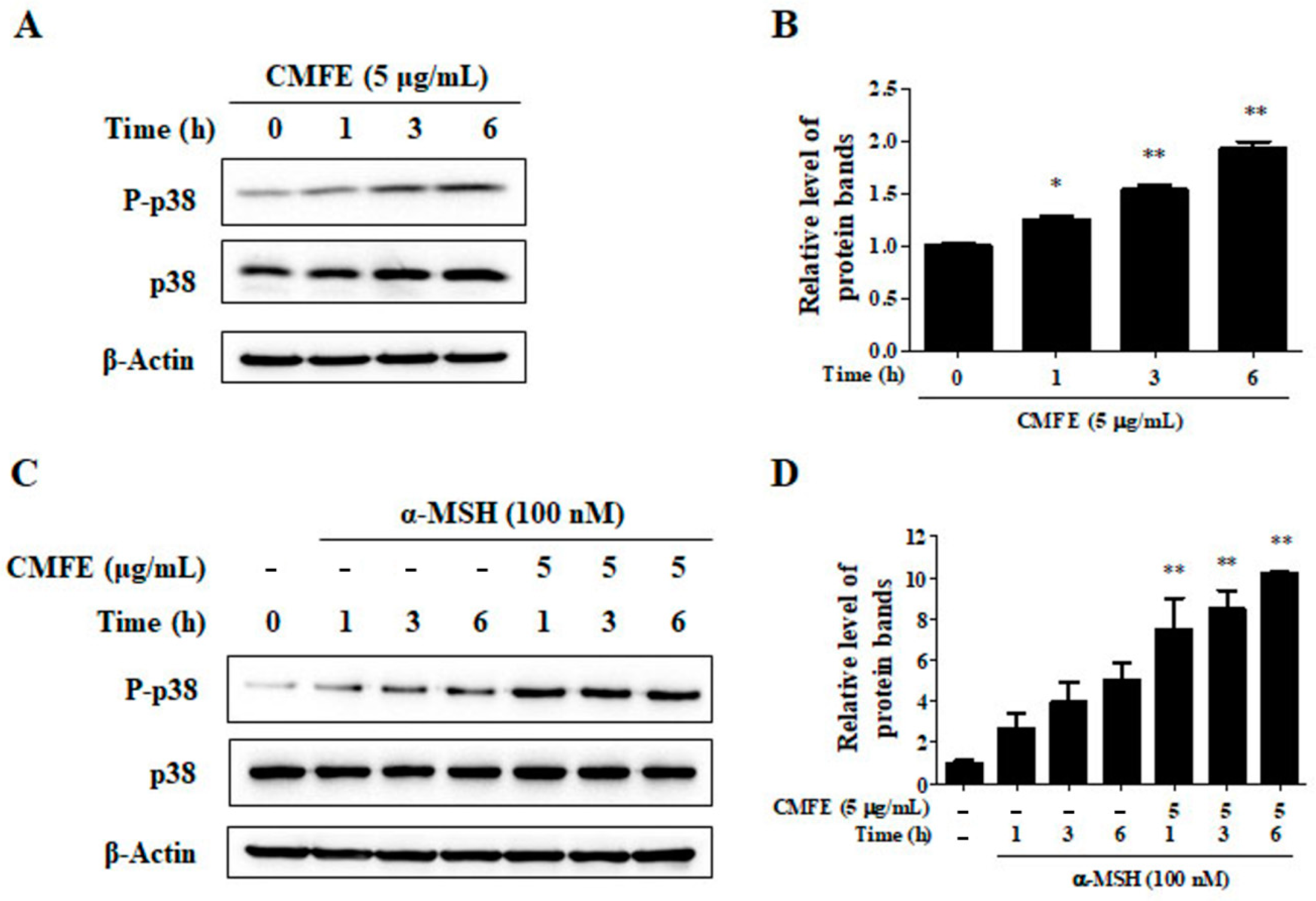 Plants 13 01305 g005