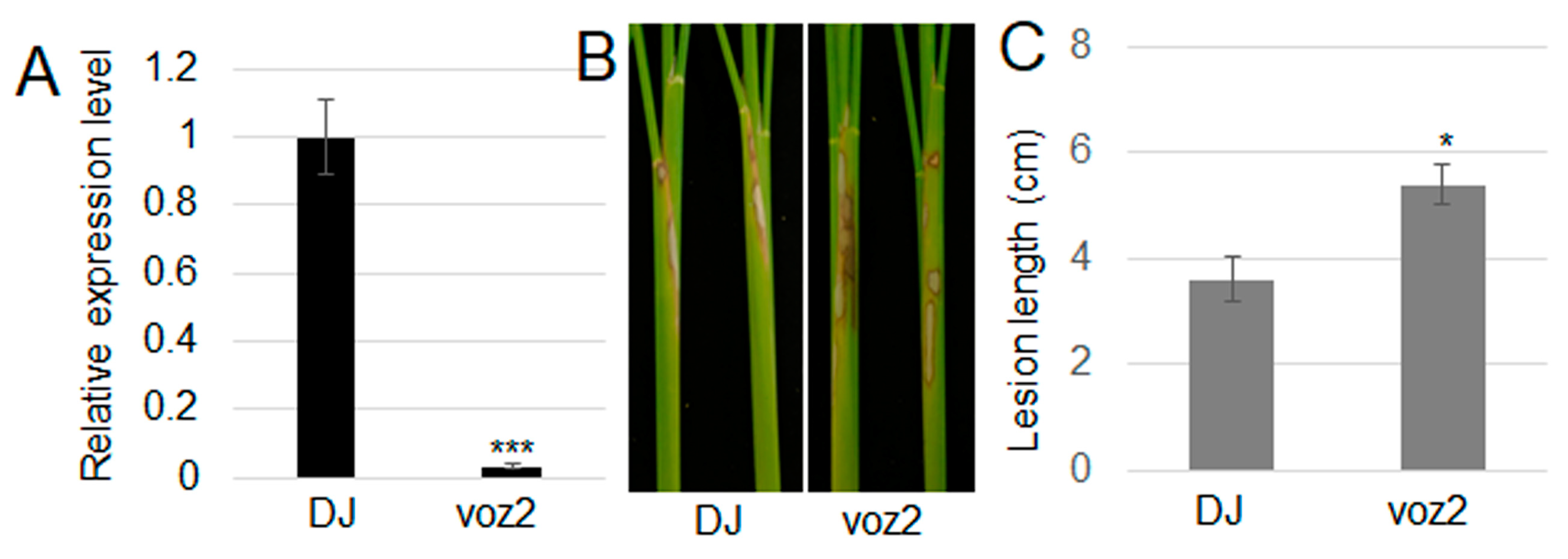 Plants 13 01306 g004