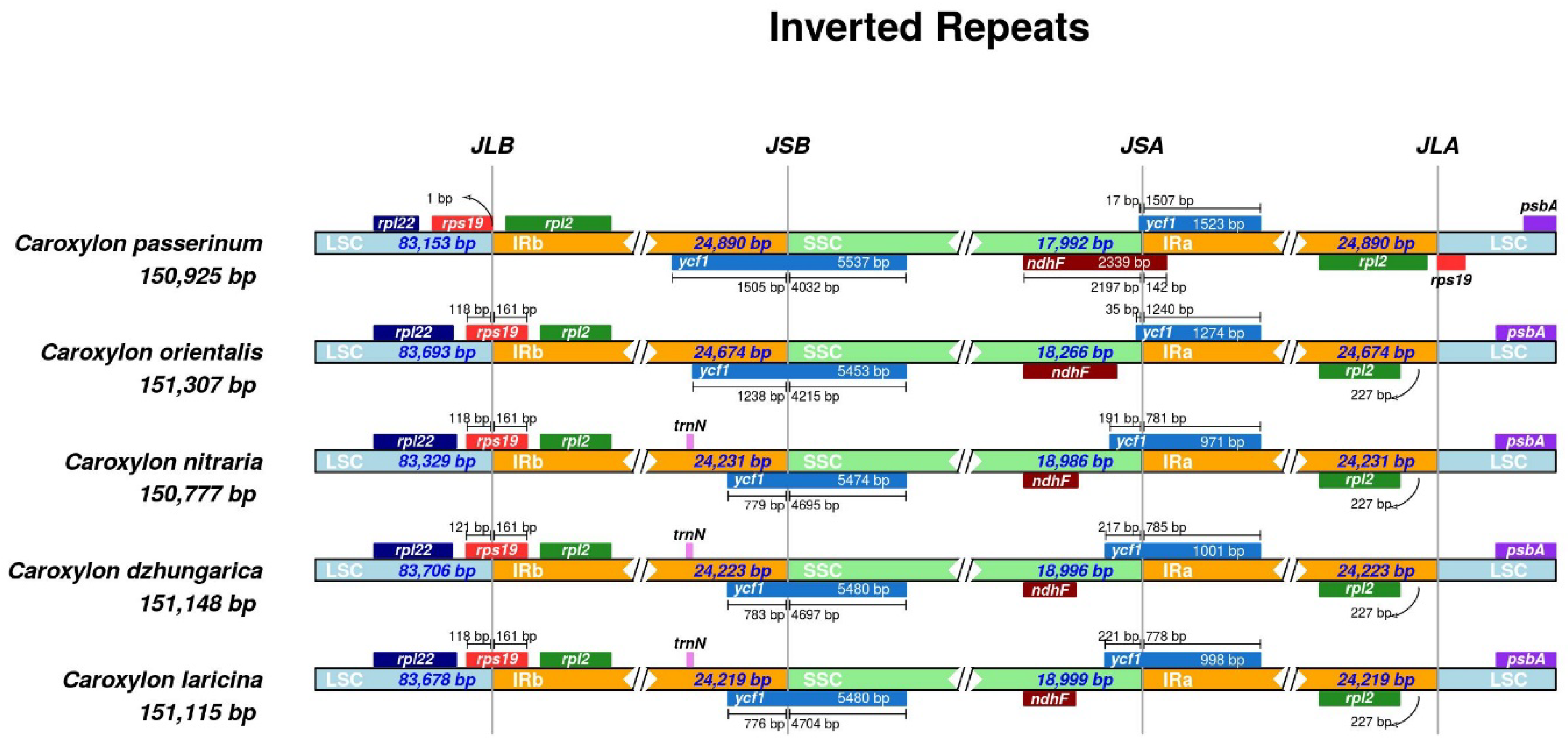 Plants 13 01332 g003