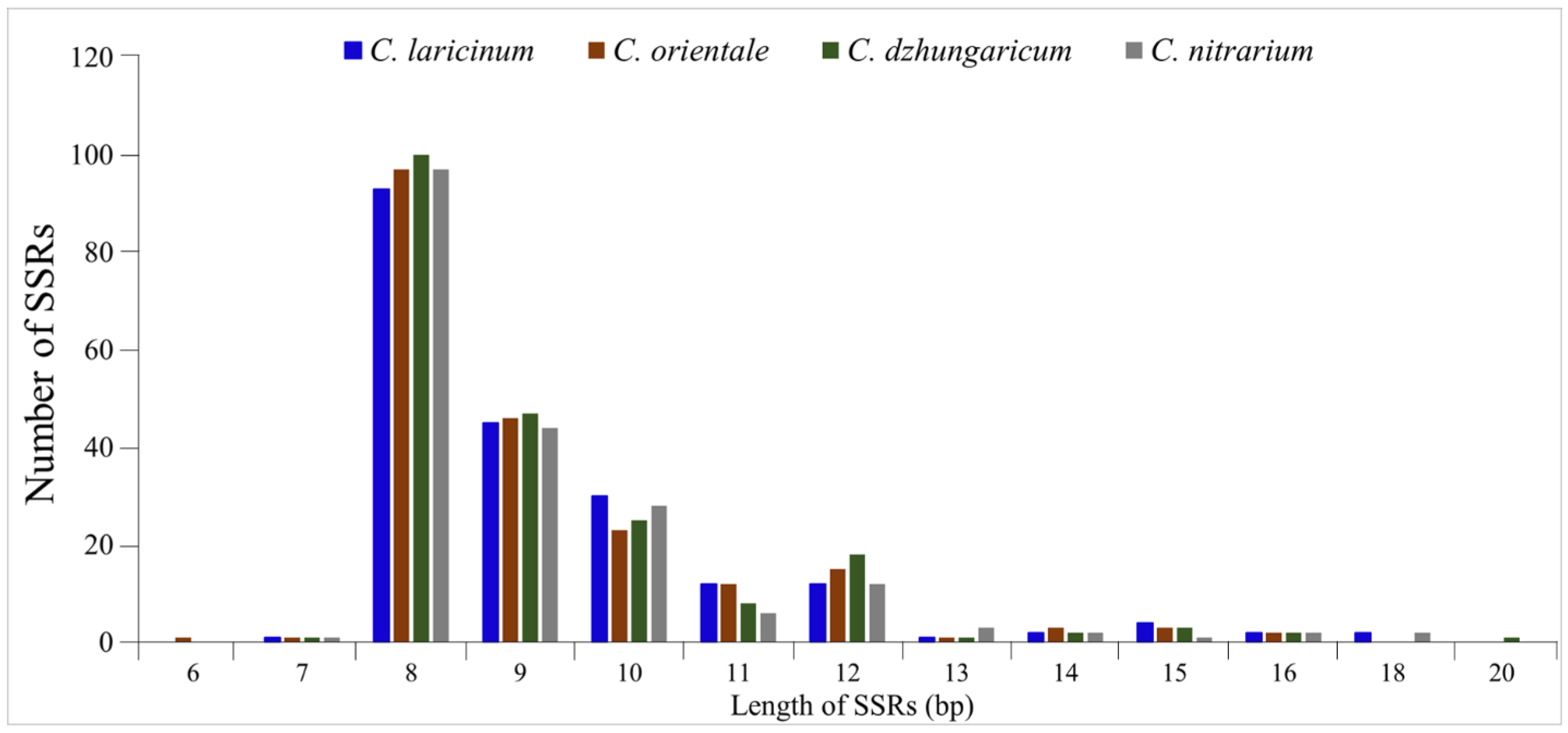Plants 13 01332 g004