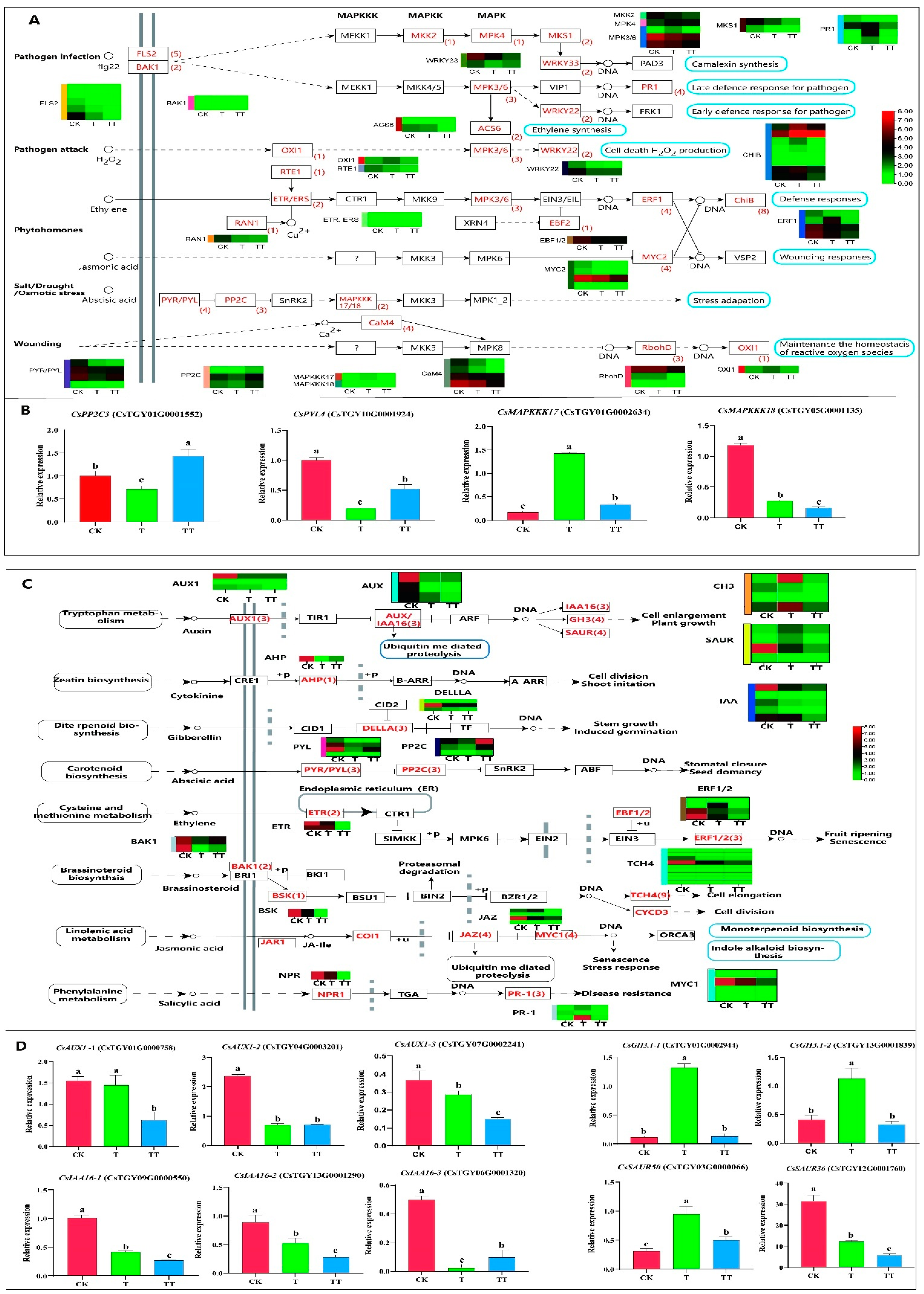 Plants 13 01339 g003