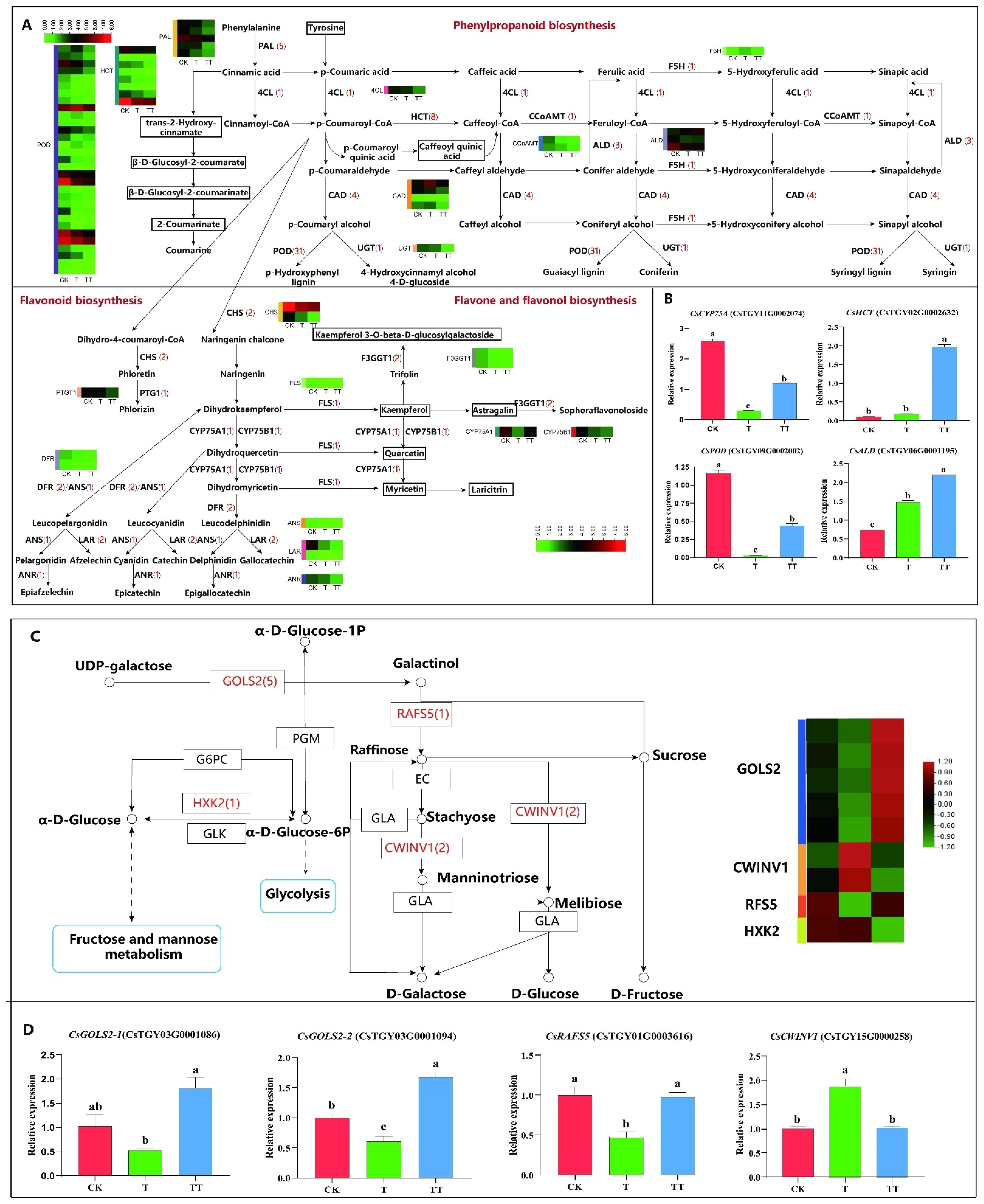 Plants 13 01339 g004