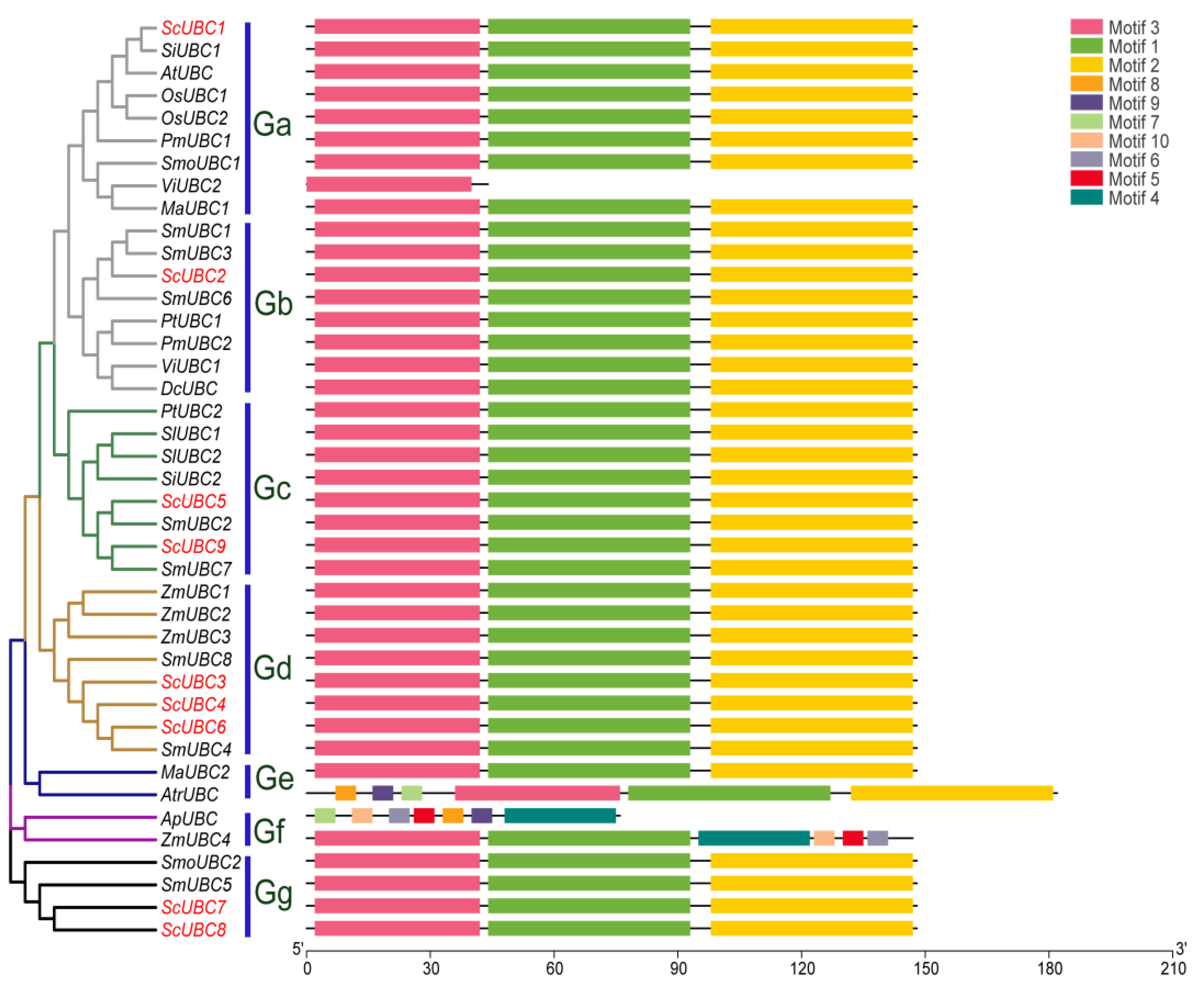Plants 13 01353 g003