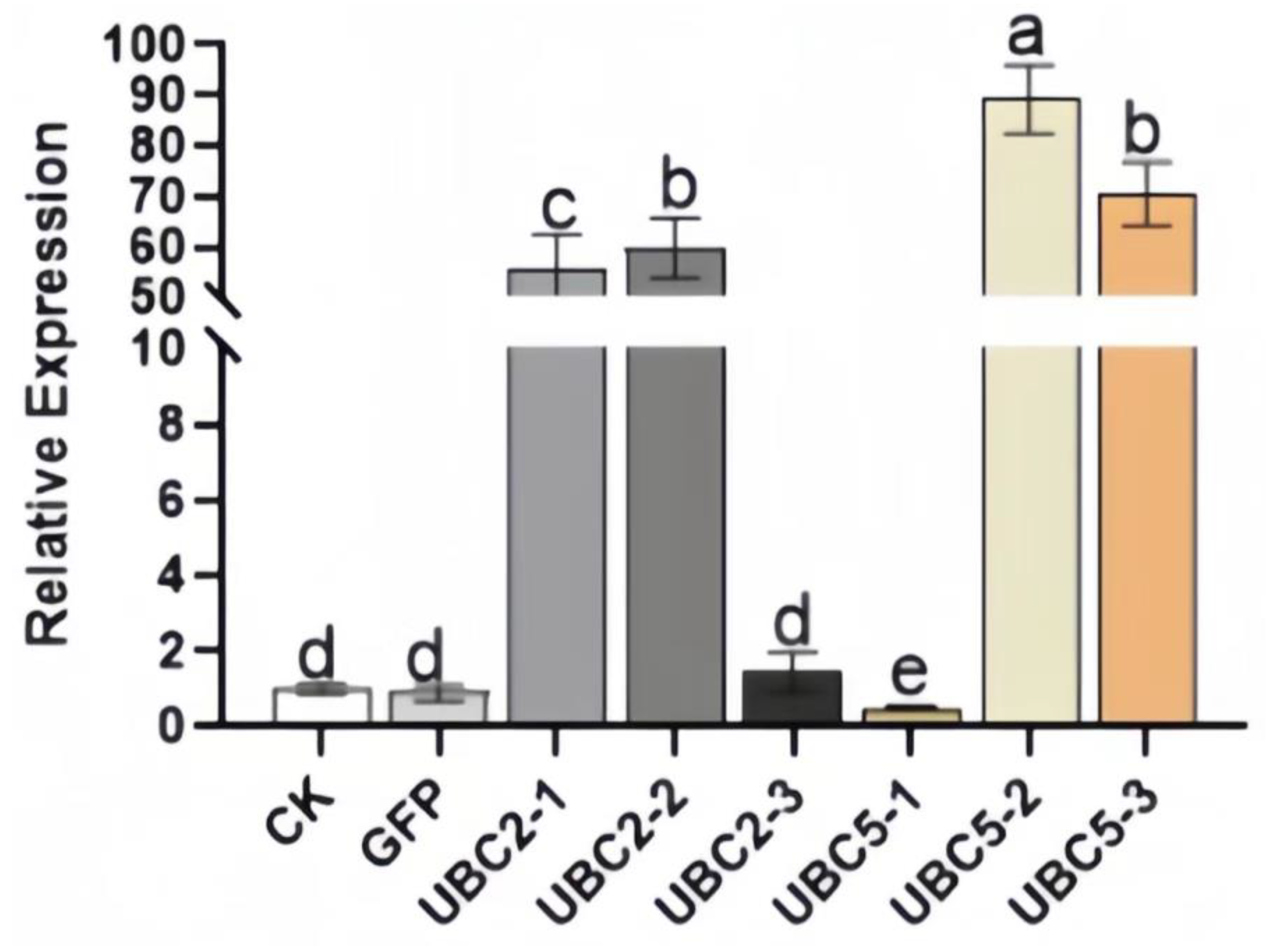 Plants 13 01353 g012