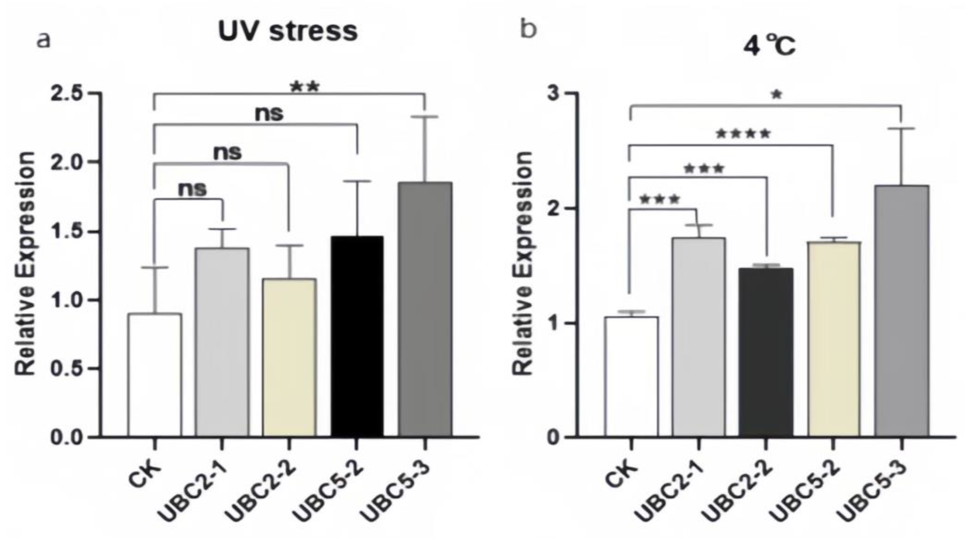 Plants 13 01353 g013