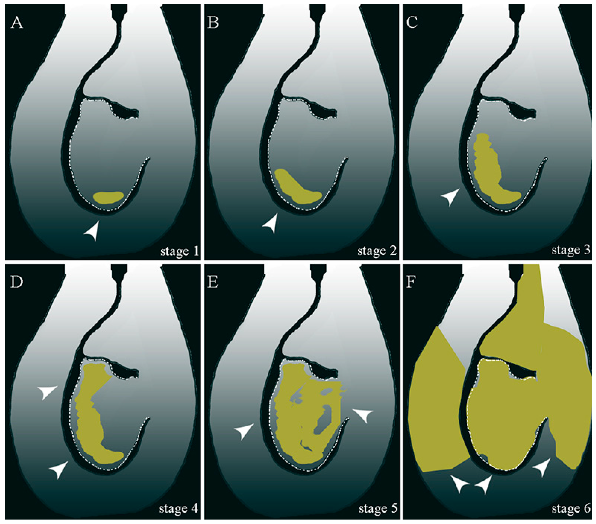 Plants 13 01359 g004