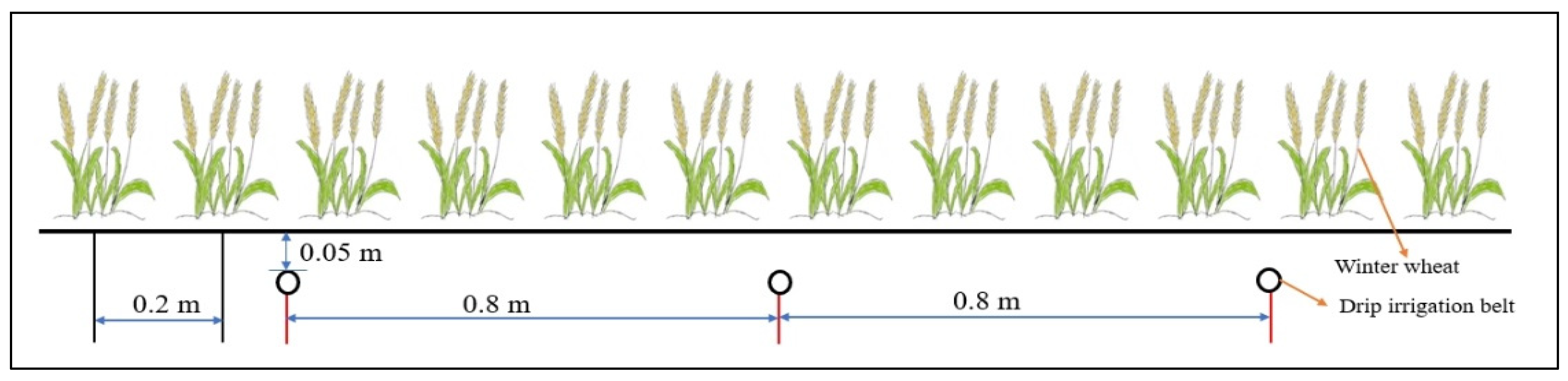 Plants 13 01391 g002