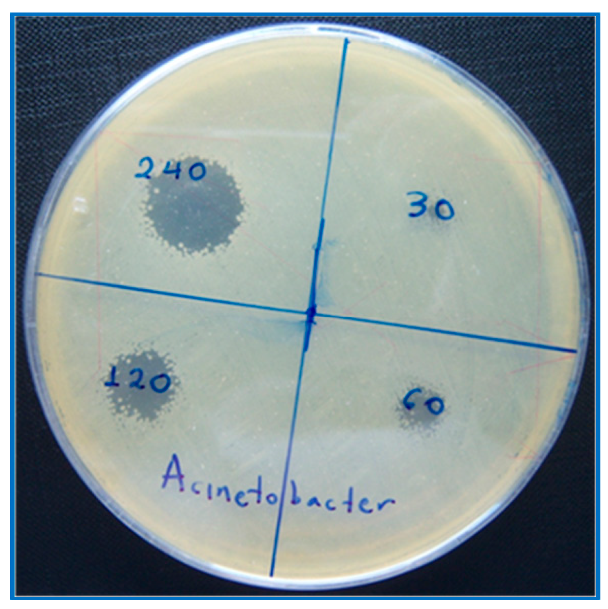 Plasma 02 00008 g004