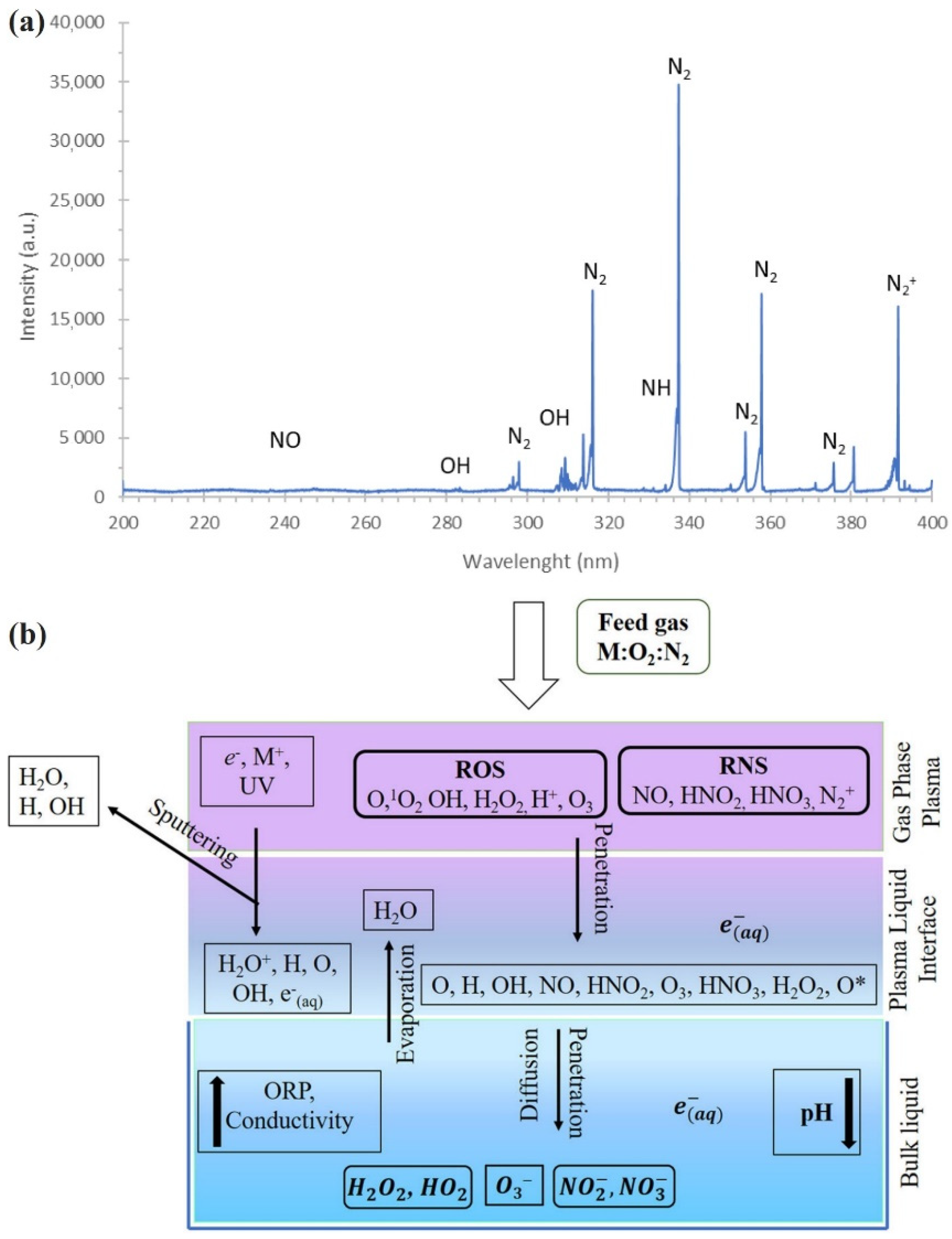Plasma 05 00008 g002
