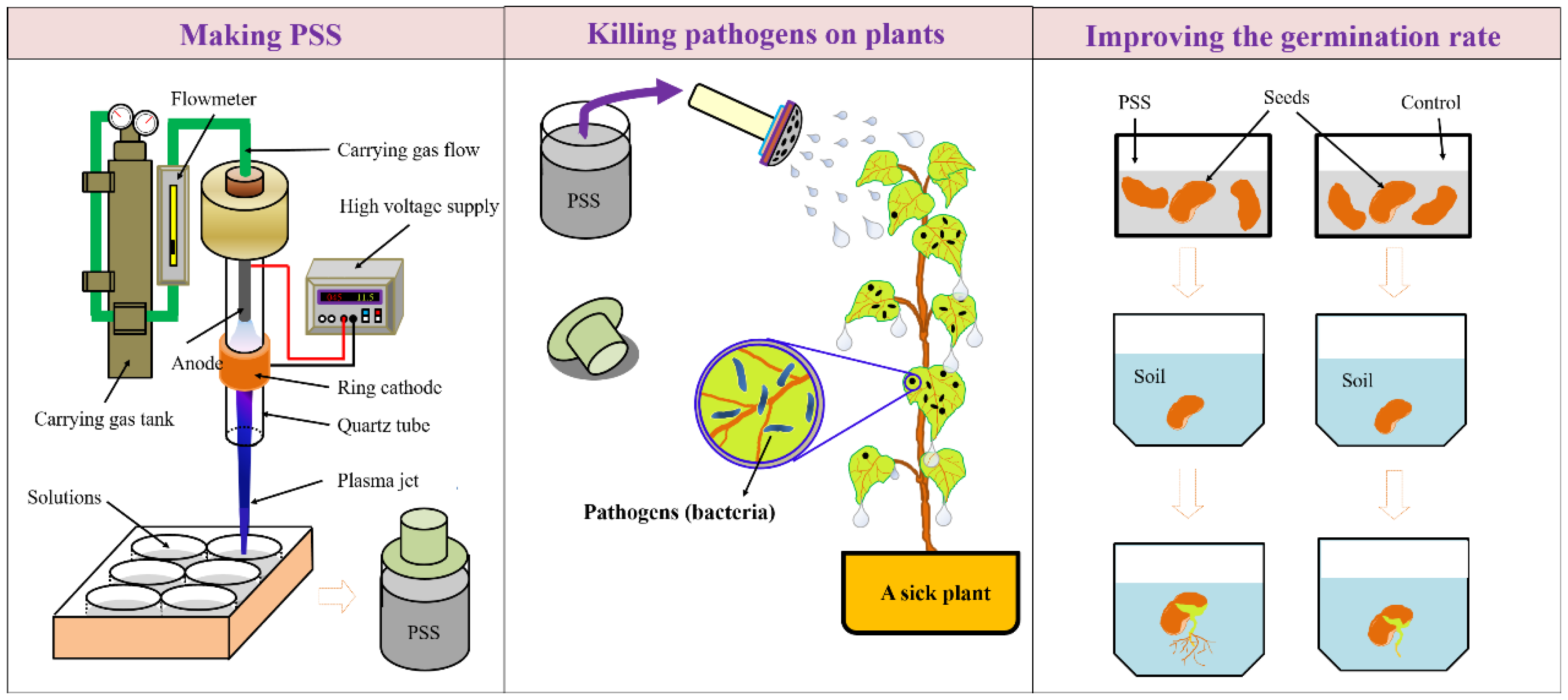 Plasma 05 00008 g004