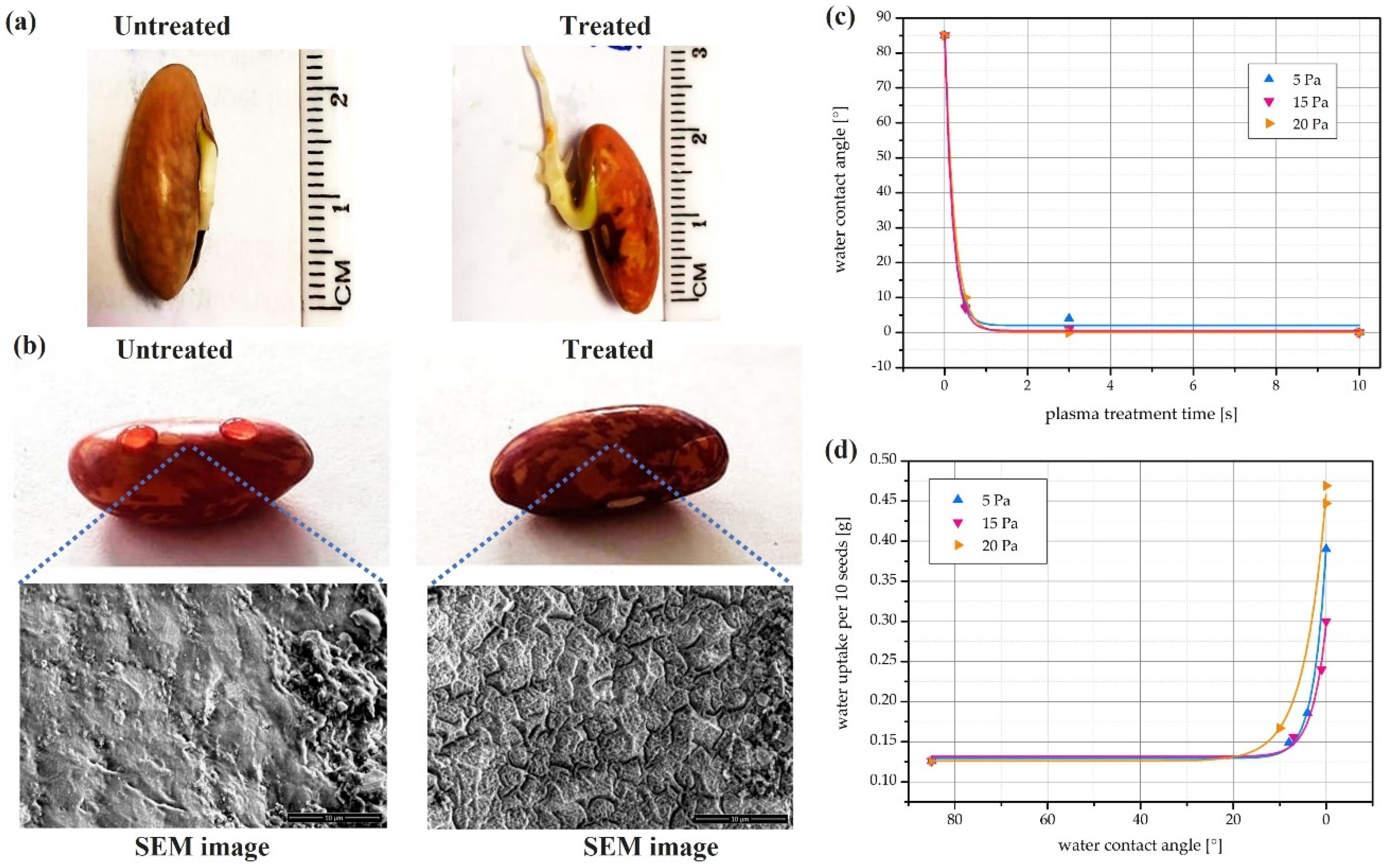 Plasma 05 00008 g006