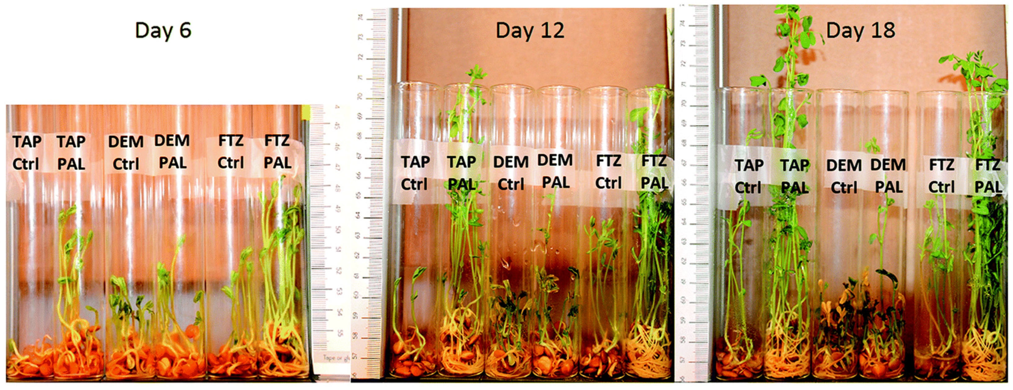 Plasma 05 00008 g007