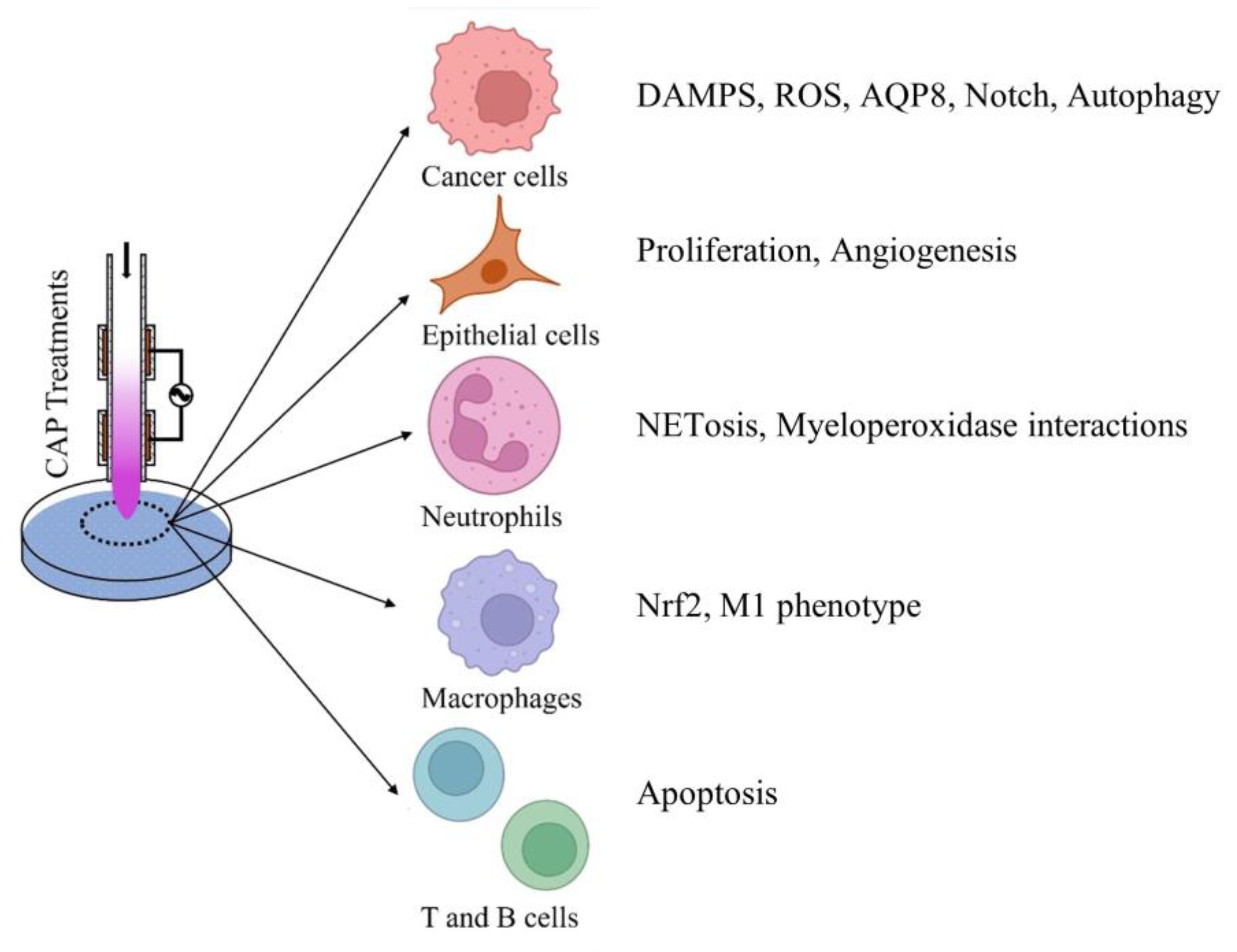 Plasma 07 00014 g005