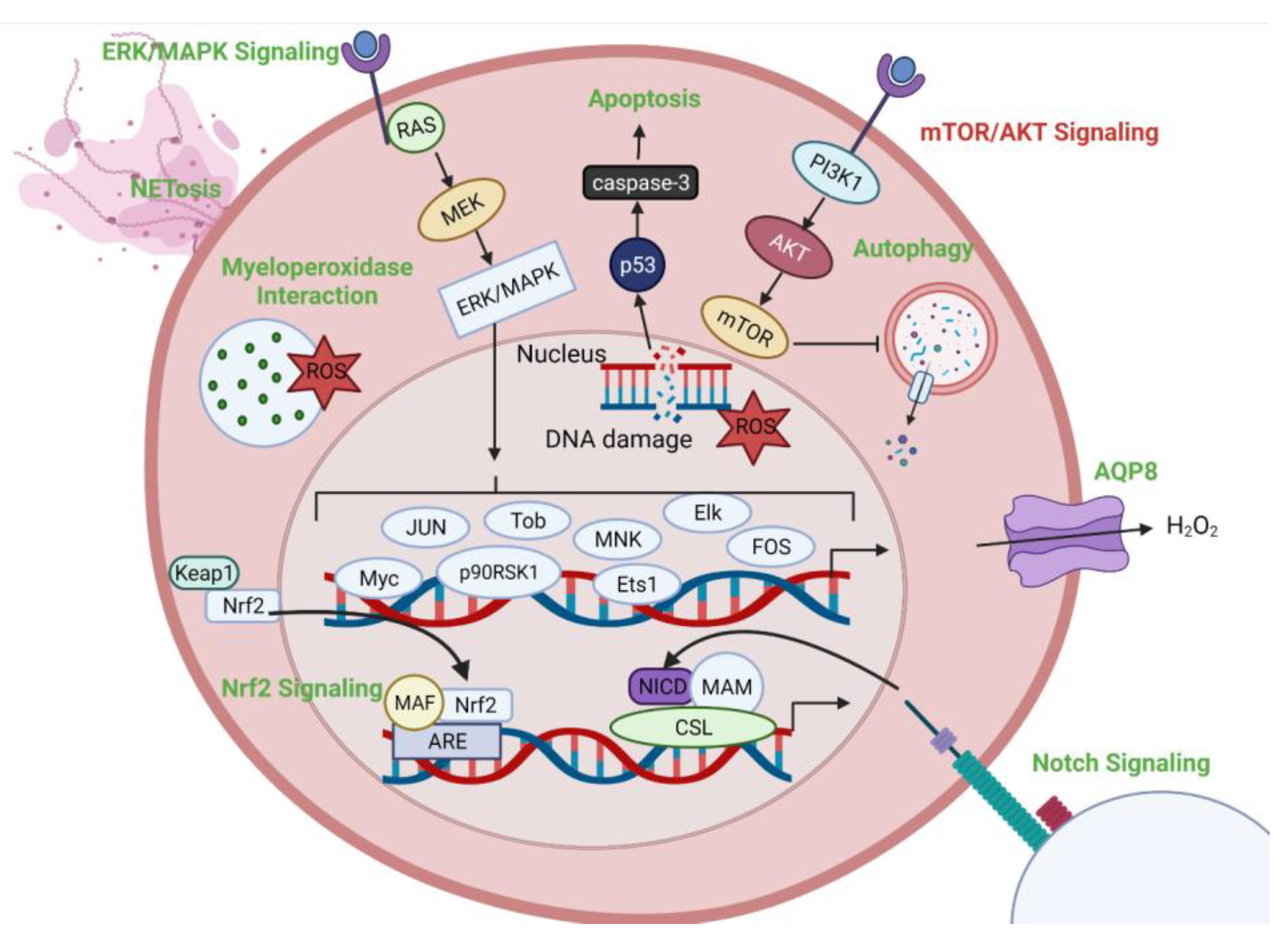 Plasma 07 00014 g006