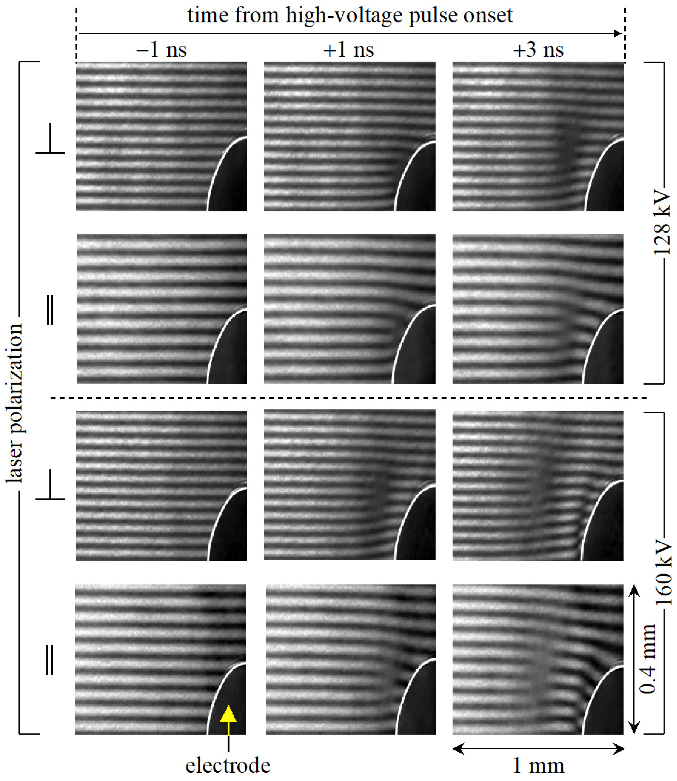 Plasma 07 00018 g010