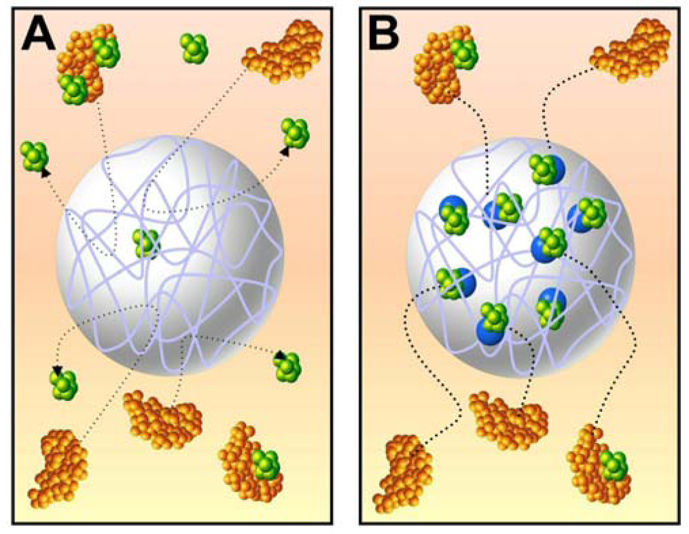 Polymers 03 01181f1 1024
