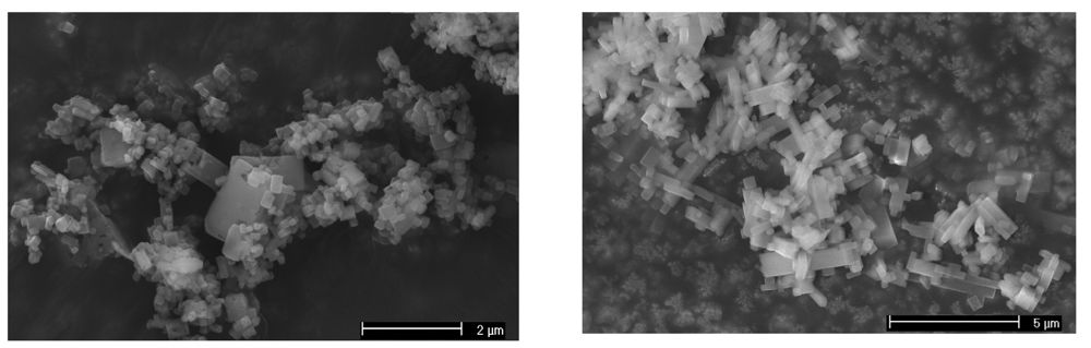 Polymers 03 01565f3 1024
