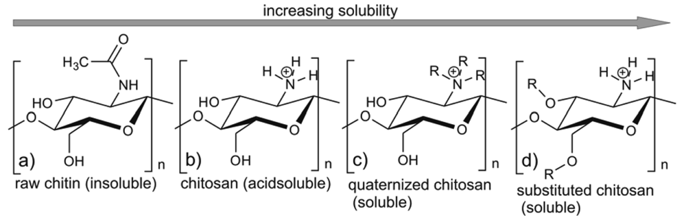 chitosan polymerization에 대한 이미지 검색결과