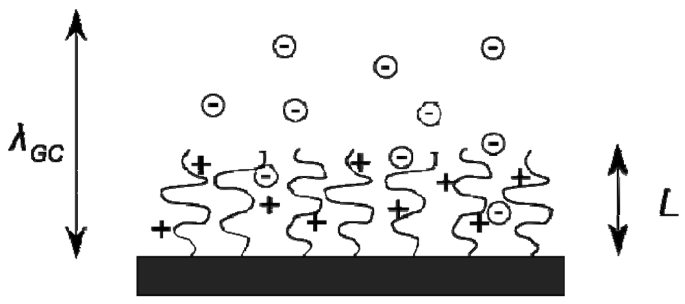 Polymers 03 02107f7 1024