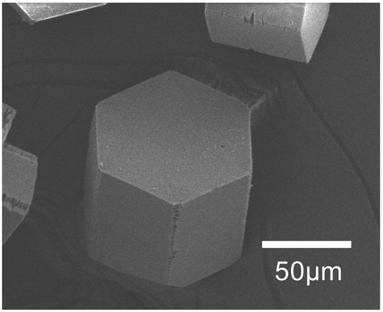 Polymers 03 02133f2 1024