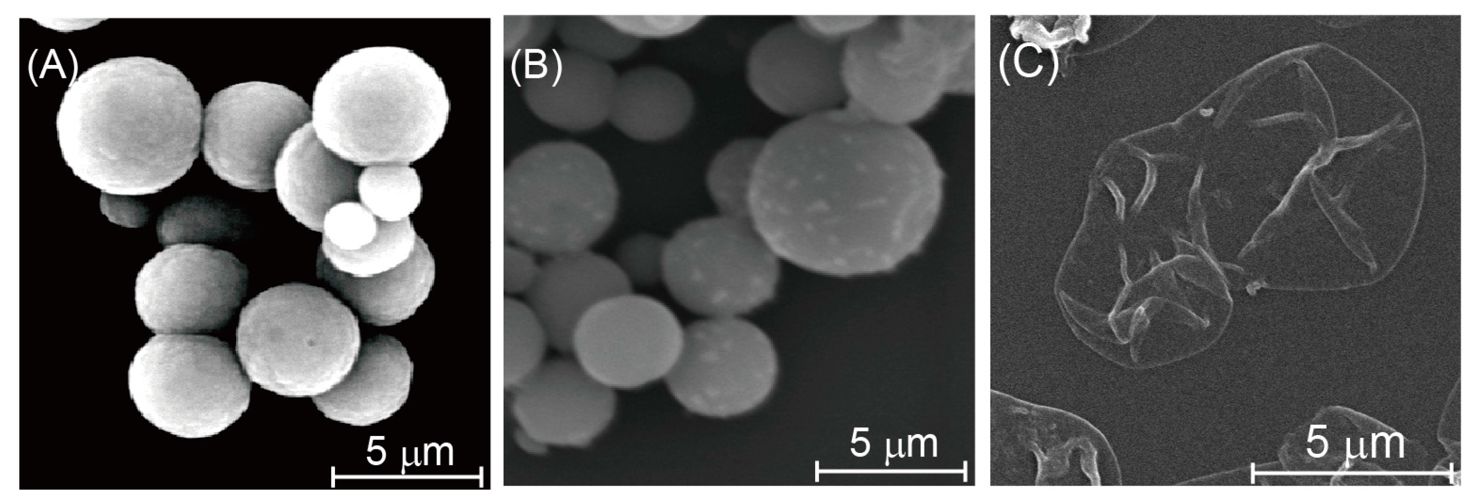 Polymers 07 01269 g003