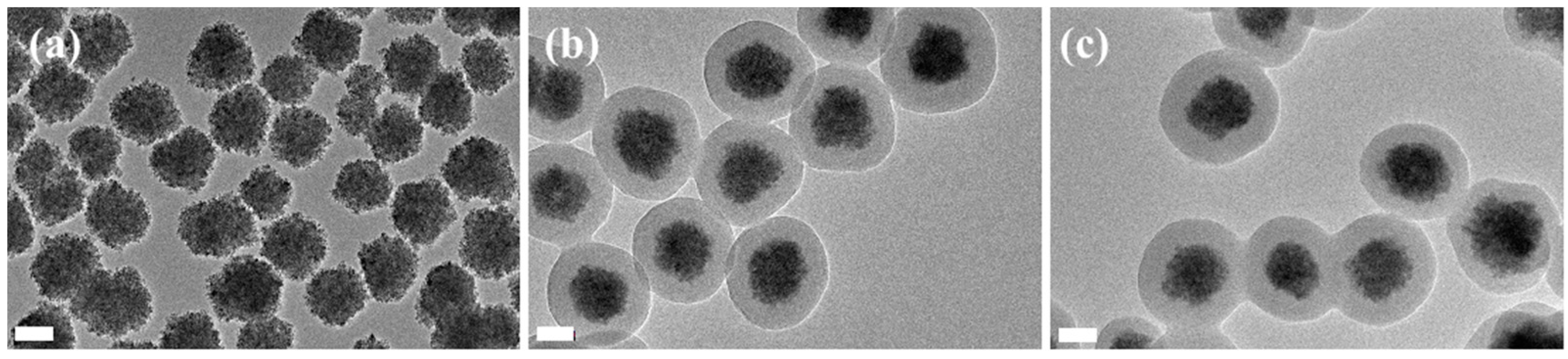 Polymers 08 00074 g003