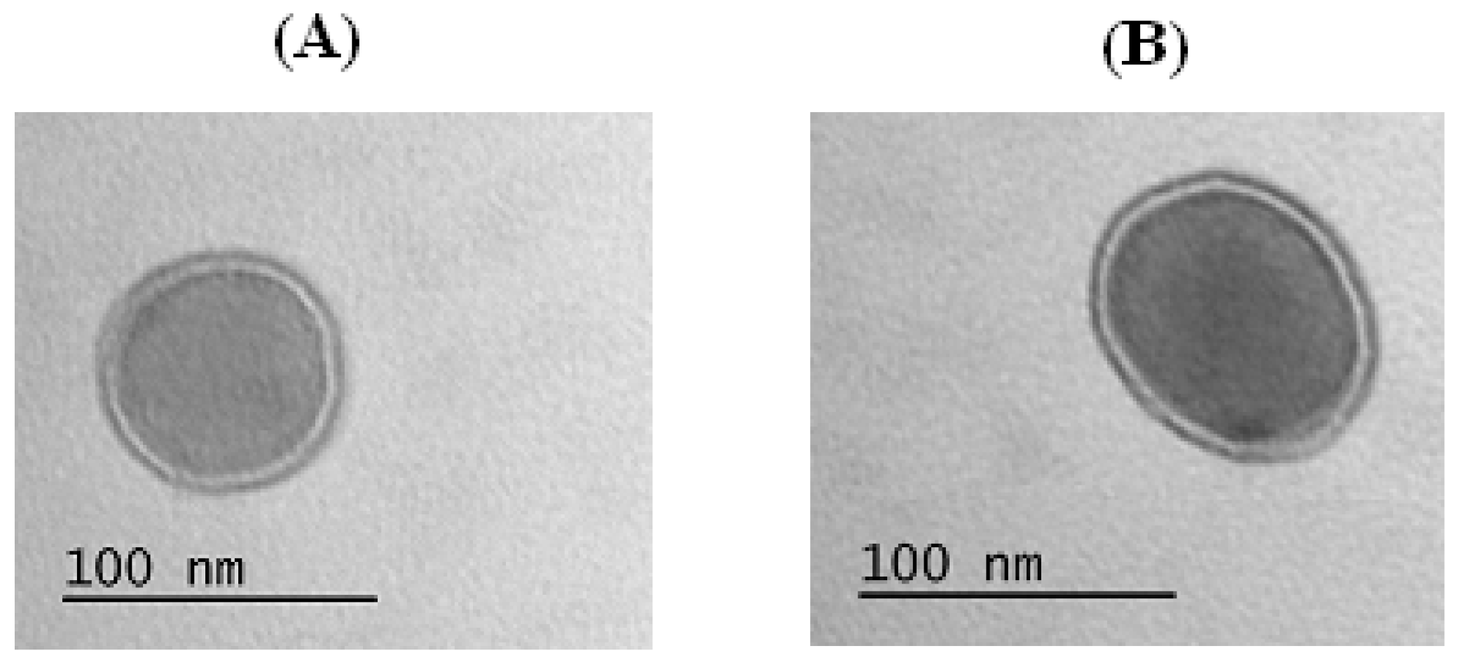Polymers 08 00212 g009