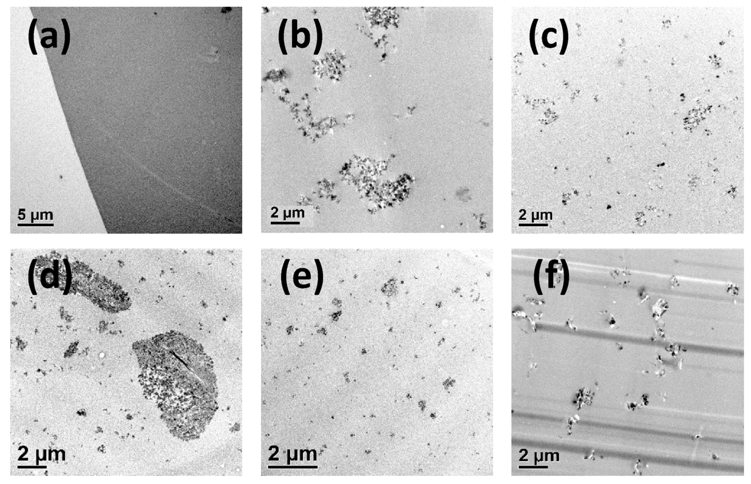 Polymers 09 00195 g004