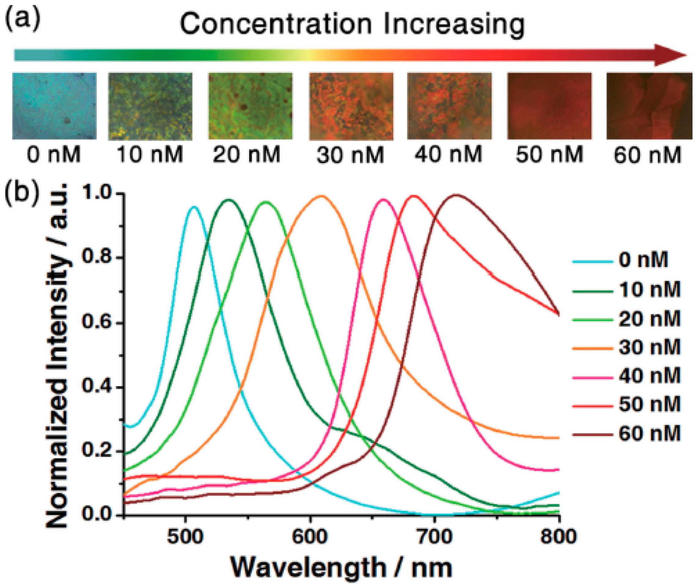 Polymers 09 00436 g009