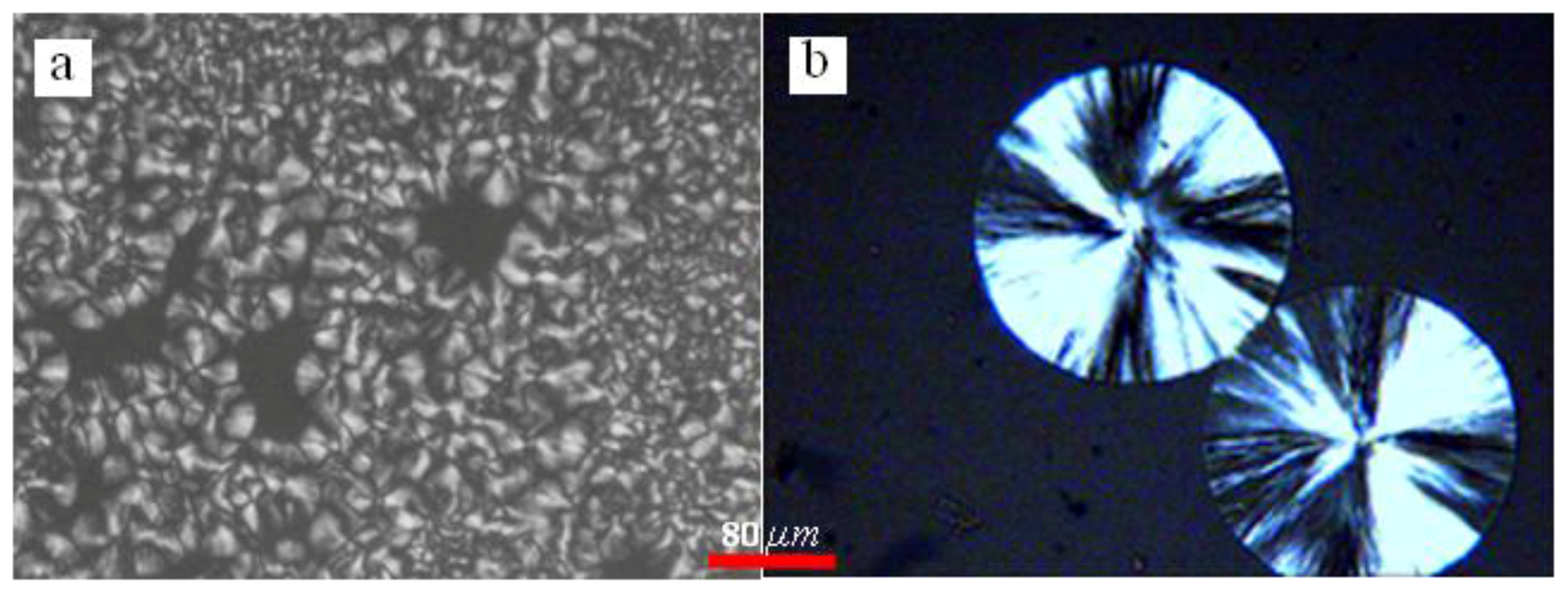 Polymers 09 00625 g010