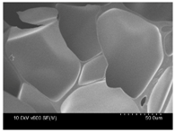 Polymers 10 00112 i005