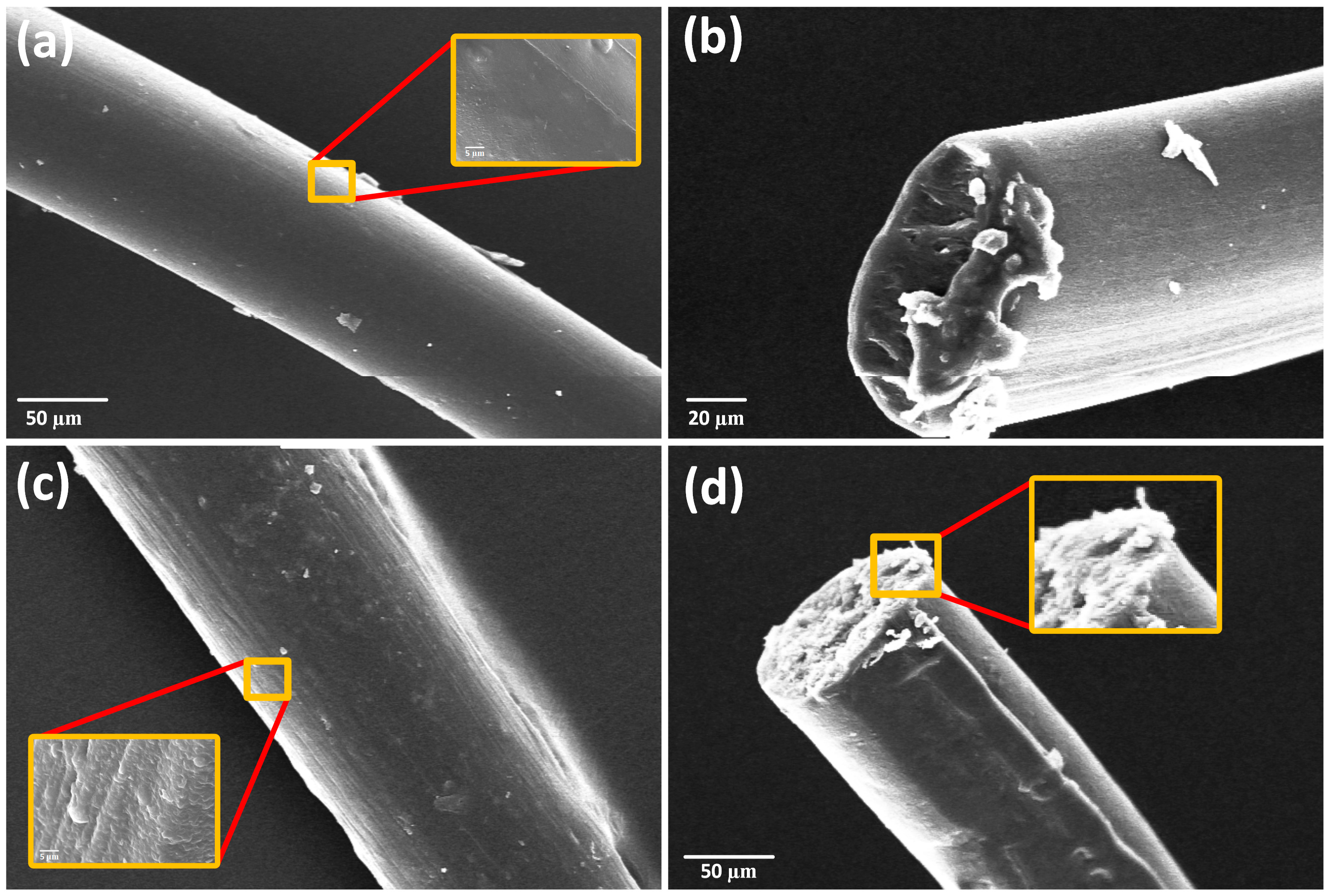 Polymers 10 00333 g006