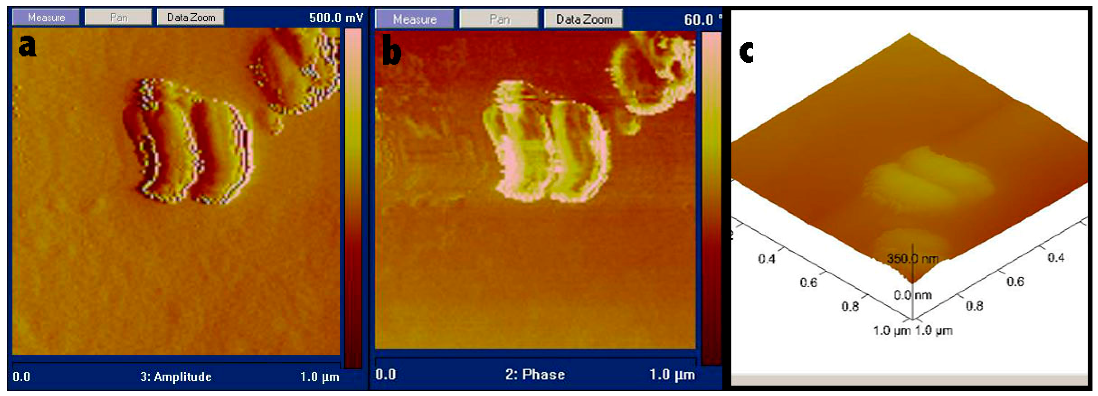 Polymers 10 00335 g003