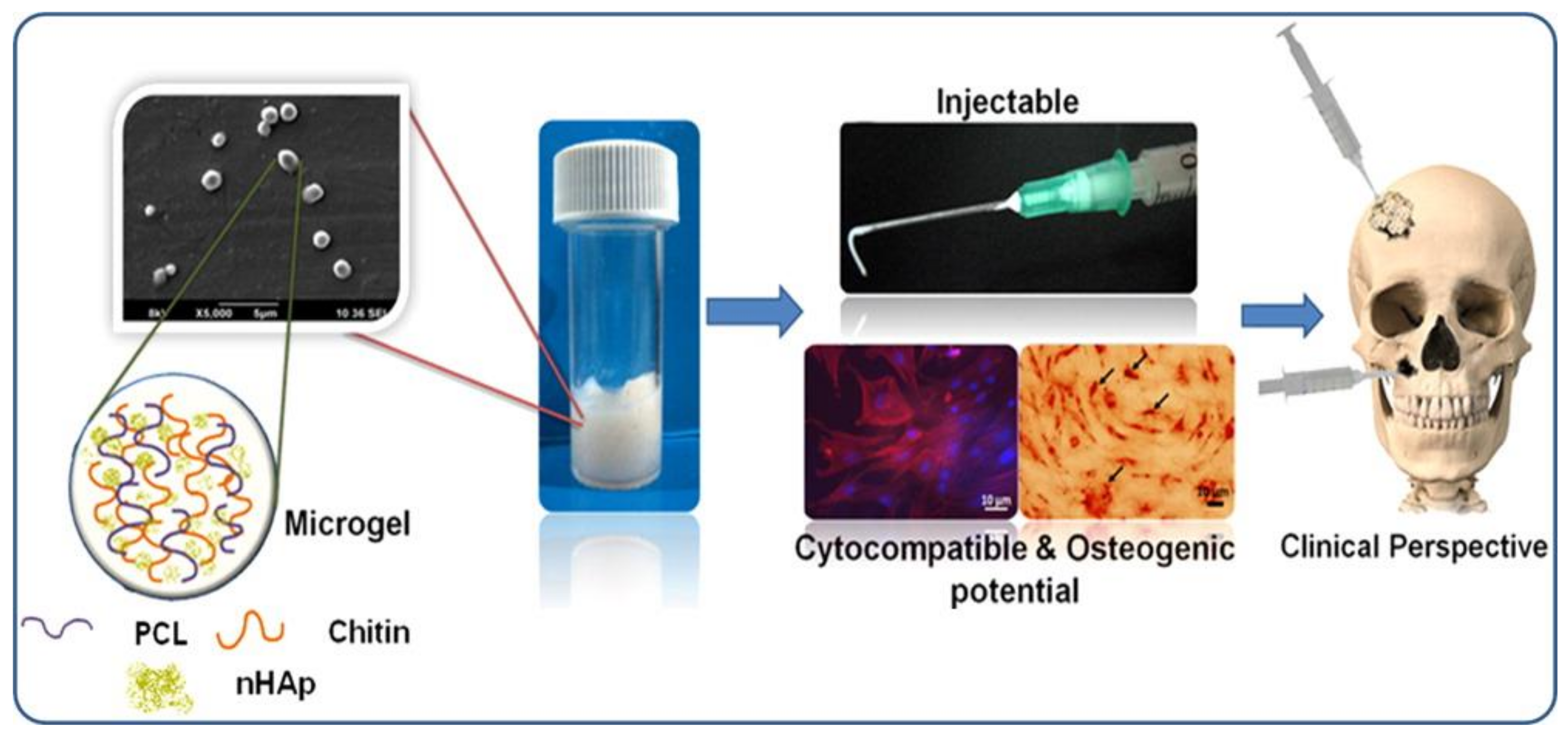 Polymers 10 00418 g012 Polymers 10 00418 g012
