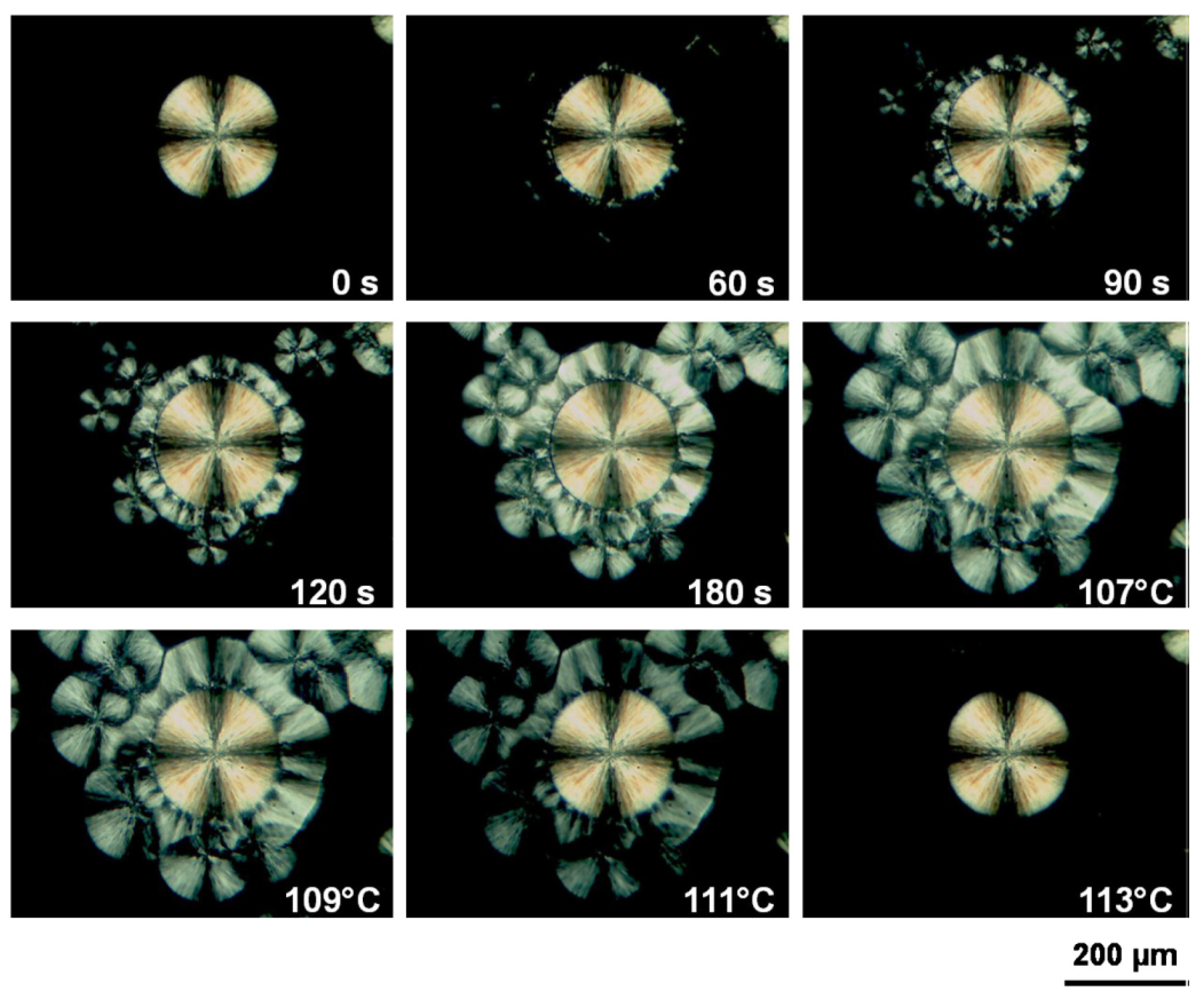 Polymers 10 00556 g007